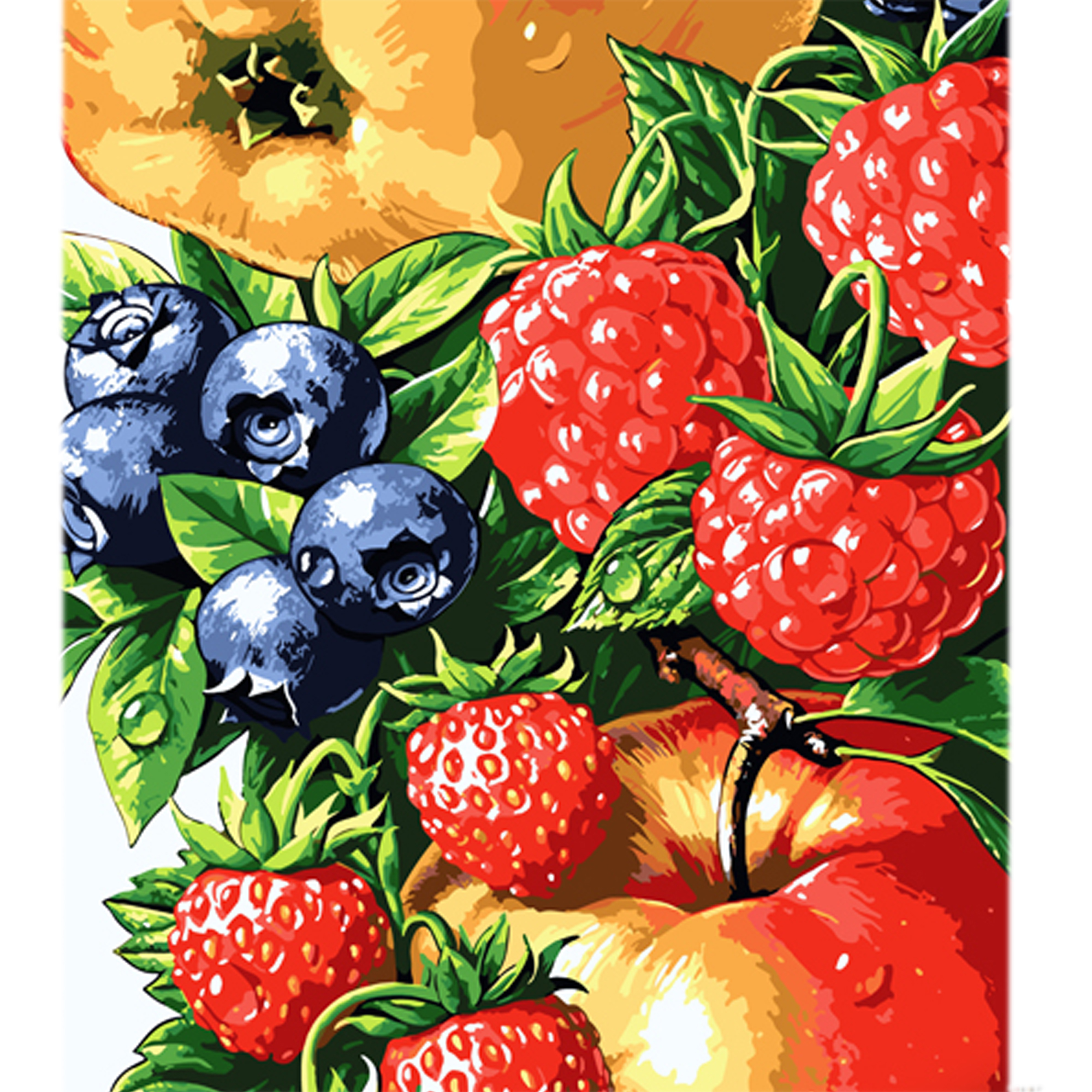 Malen nach Zahlen Strateg Saftige Beeren und Früchte auf farbigem Hintergrund, Größe 40x50 cm (MZ068)