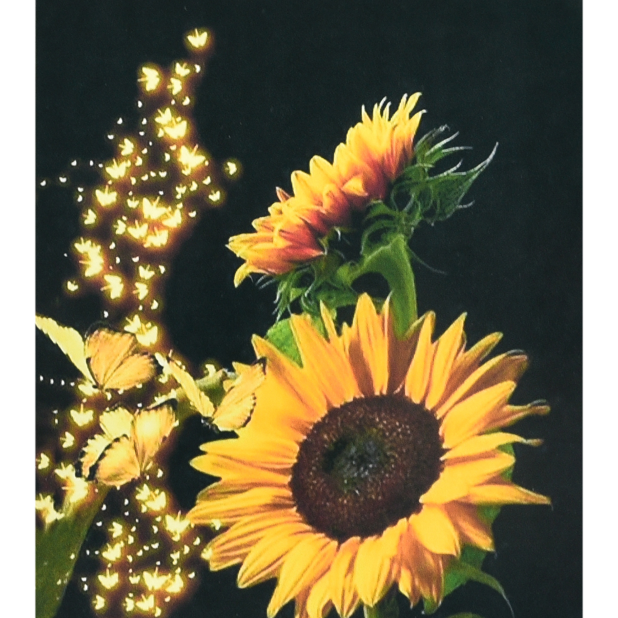 Diamond mosaic Strateg PREMIUM Sunflowers size 40x50 cm (SK88222)