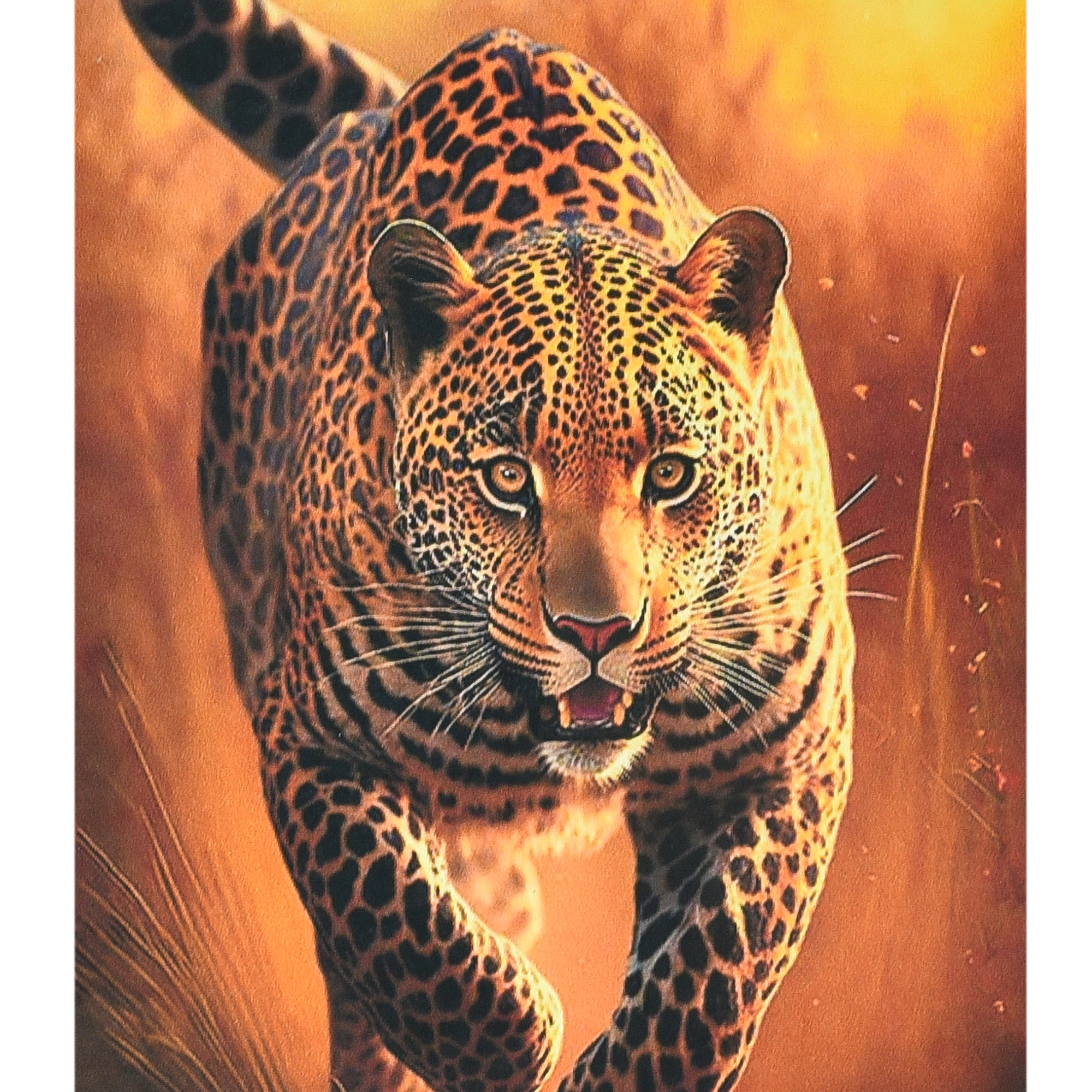Diamond mosaic Strateg PREMIUM Speed of wild nature size 40x50 cm (SK88258)