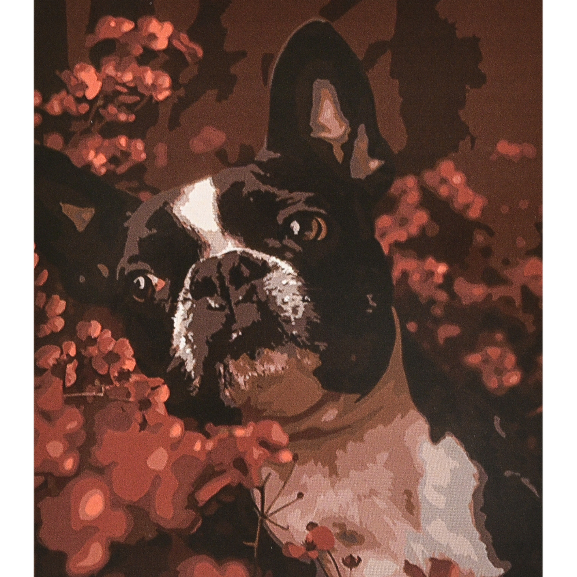 Malen nach Zahlen Strateg PREMIUM Boston Terrier mit Lack und Wasserwaage im Format 40x50 cm (VA-4612)