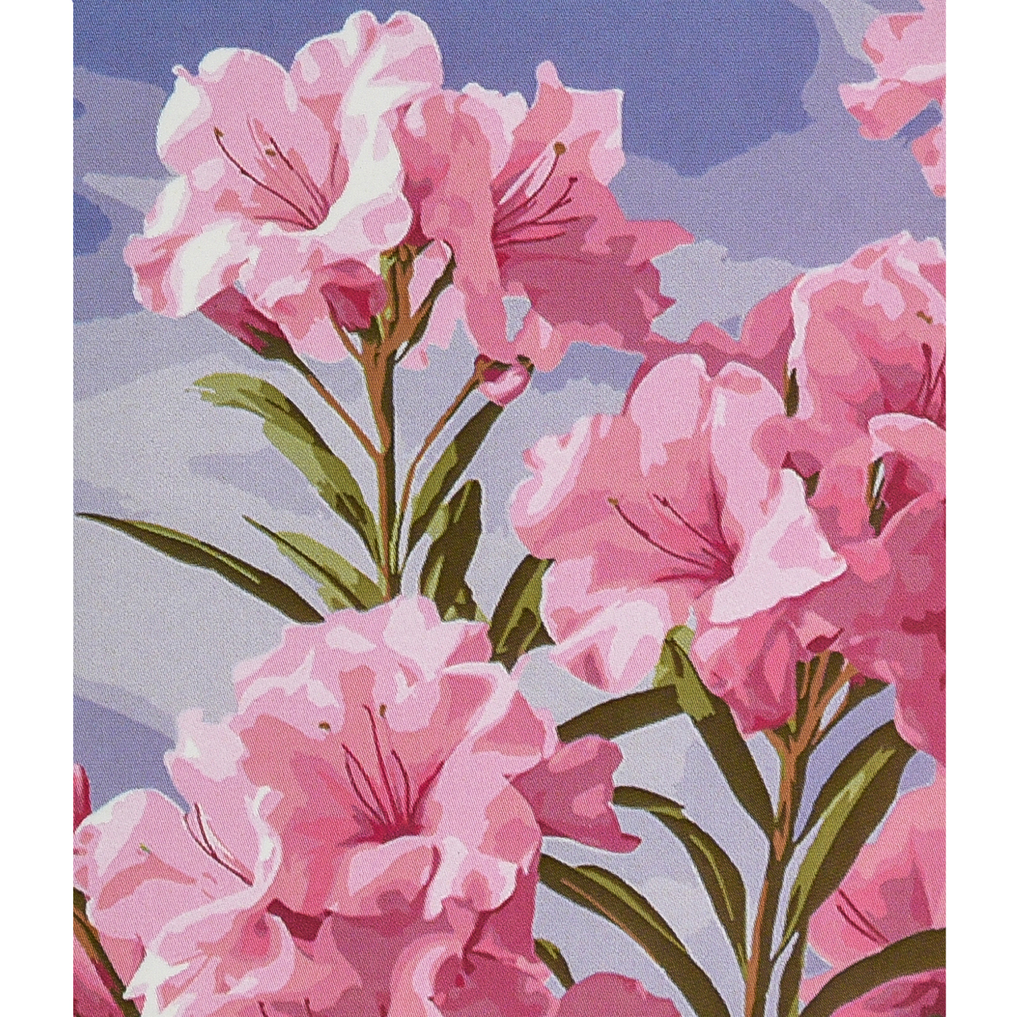 Malen nach Zahlen Strateg PREMIUM: Zärtlichkeit, Größe 30 x 40 cm (SS1161)