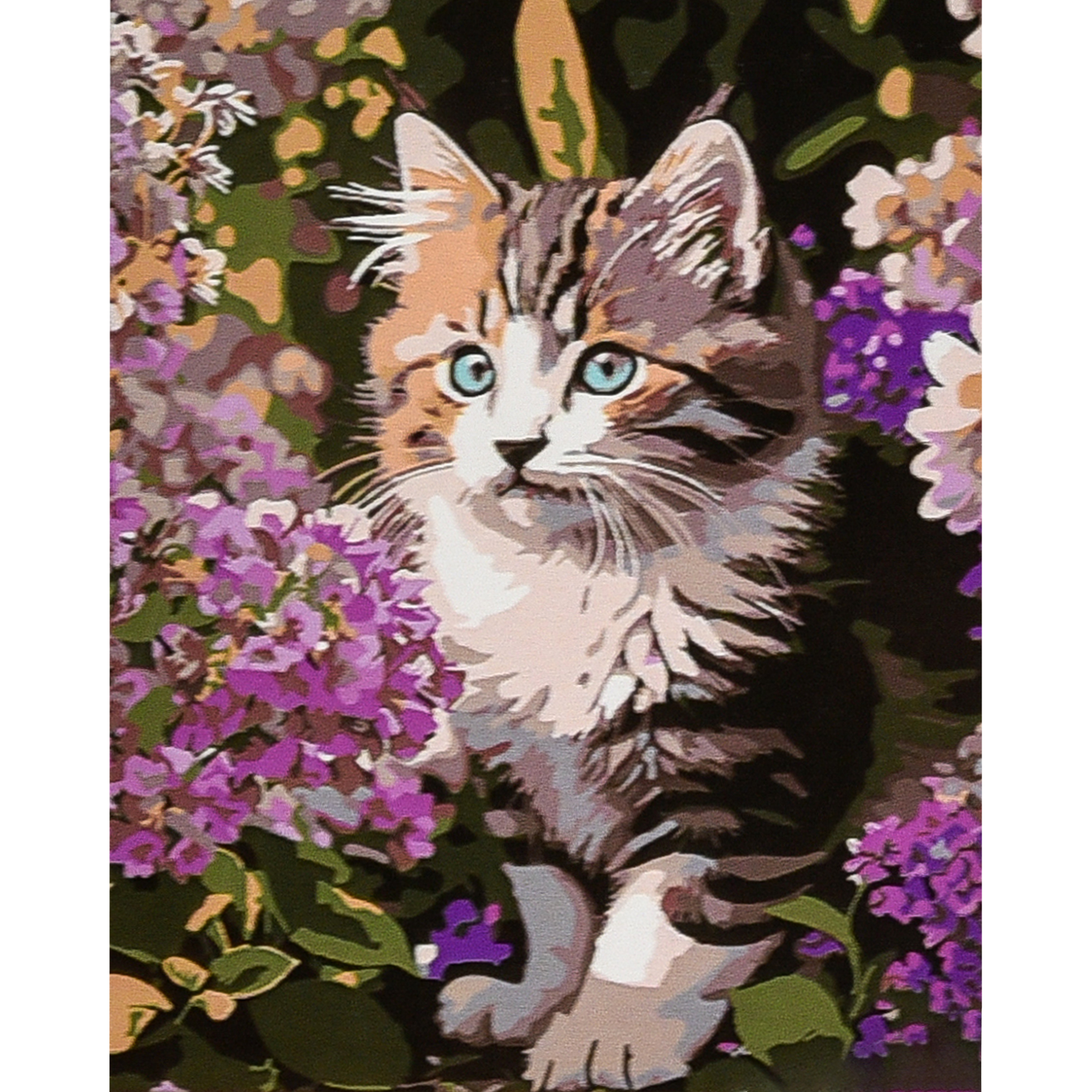 Malen nach Zahlen Strateg PREMIUM Murchik 30x40 cm (SS1194)