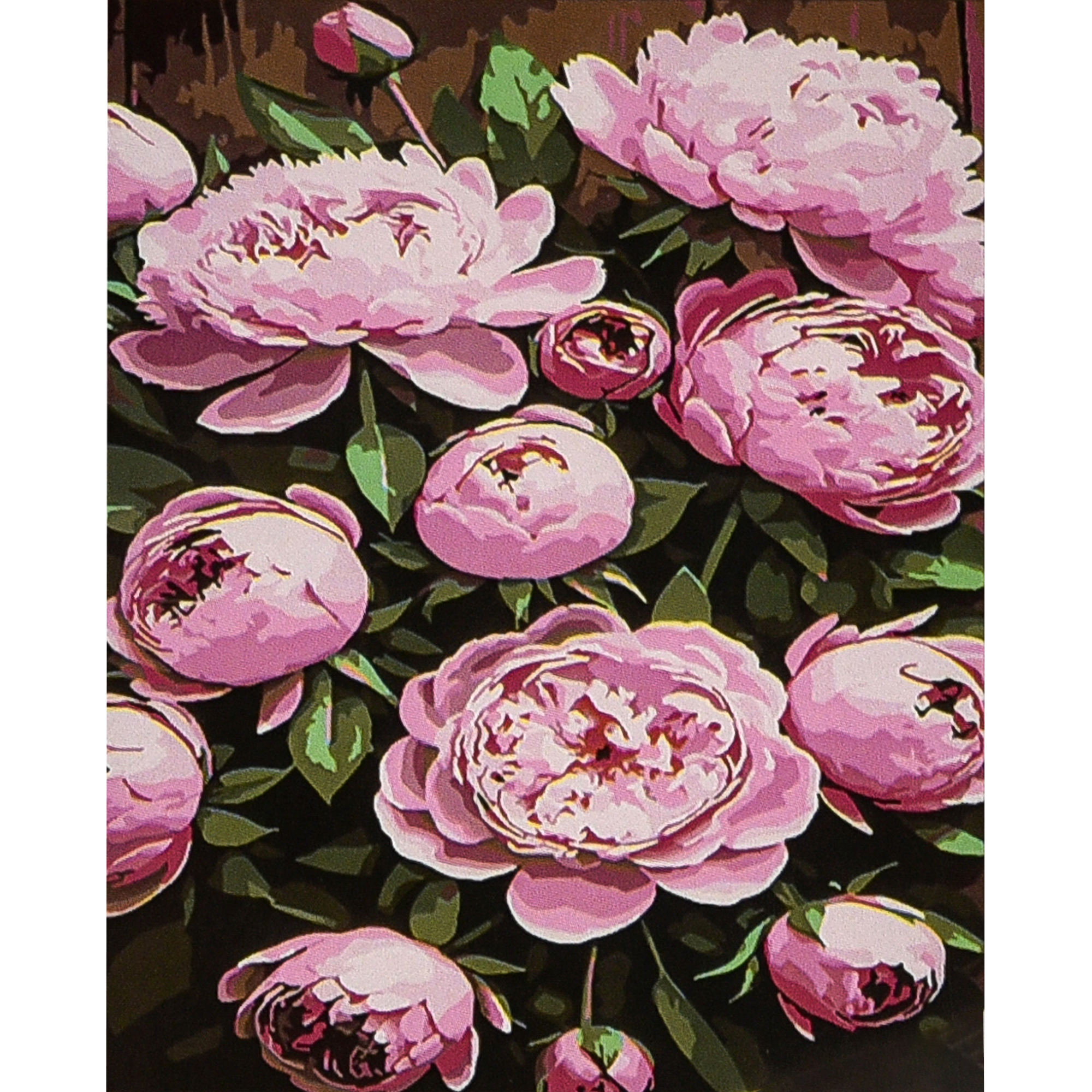 Malen nach Zahlen Strateg PREMIUM Rosa Pfingstrosen 30x40 cm (SS1196)