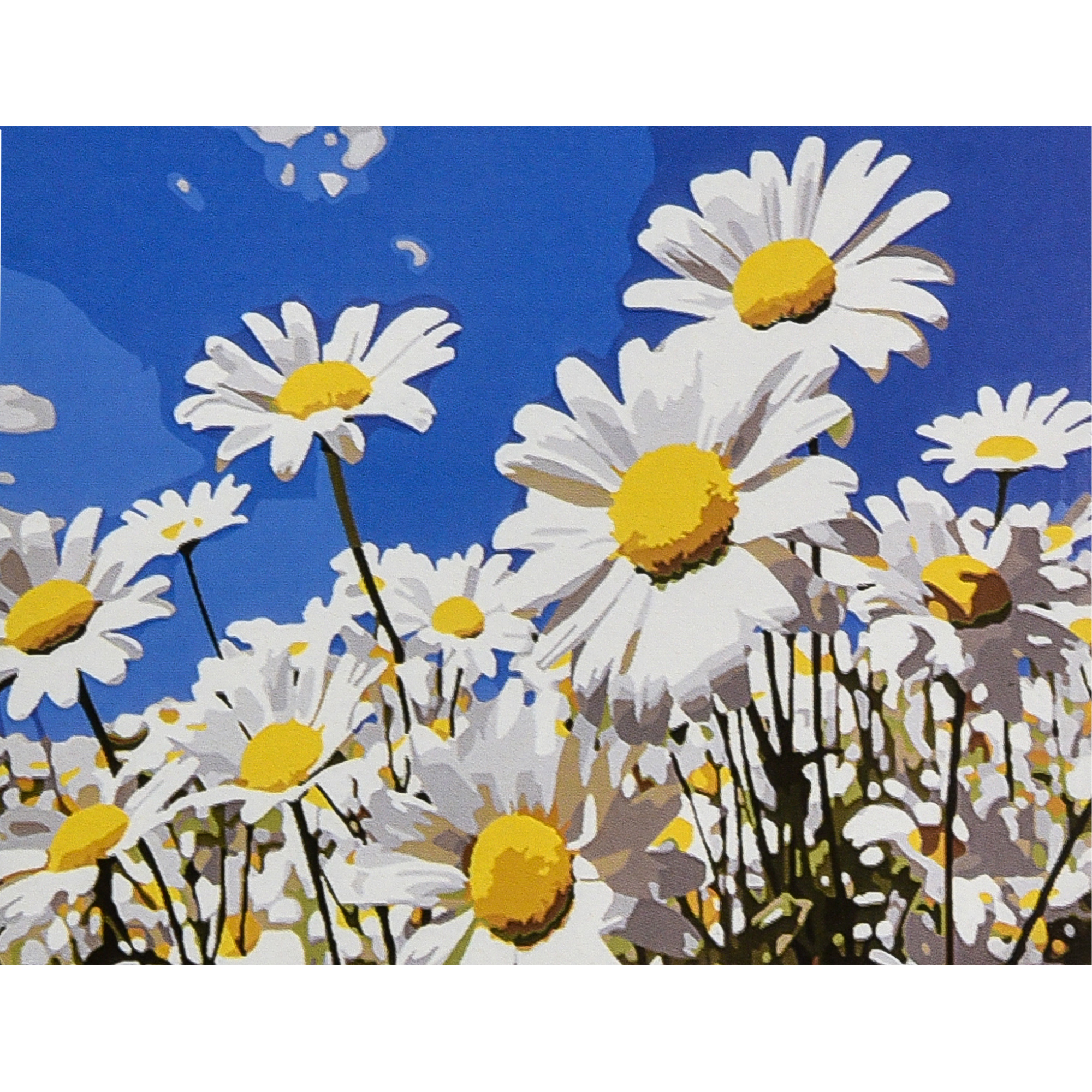 Malen nach Zahlen Strateg PREMIUM Sommergänseblümchen 30x40 cm (SS1200)