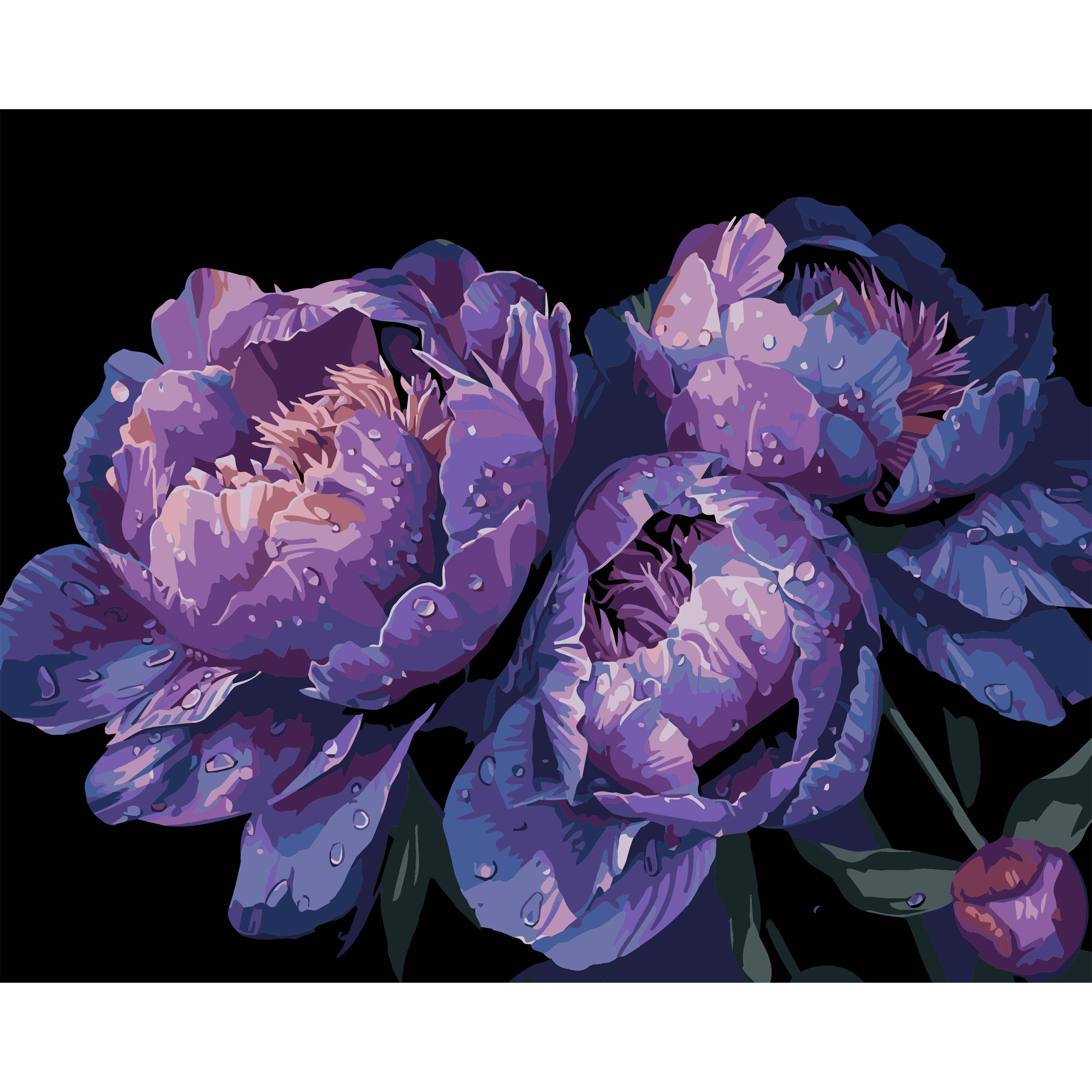 Painting by numbers Strateg Twilight blossom on a black background size 40x50 cm (AH1157)