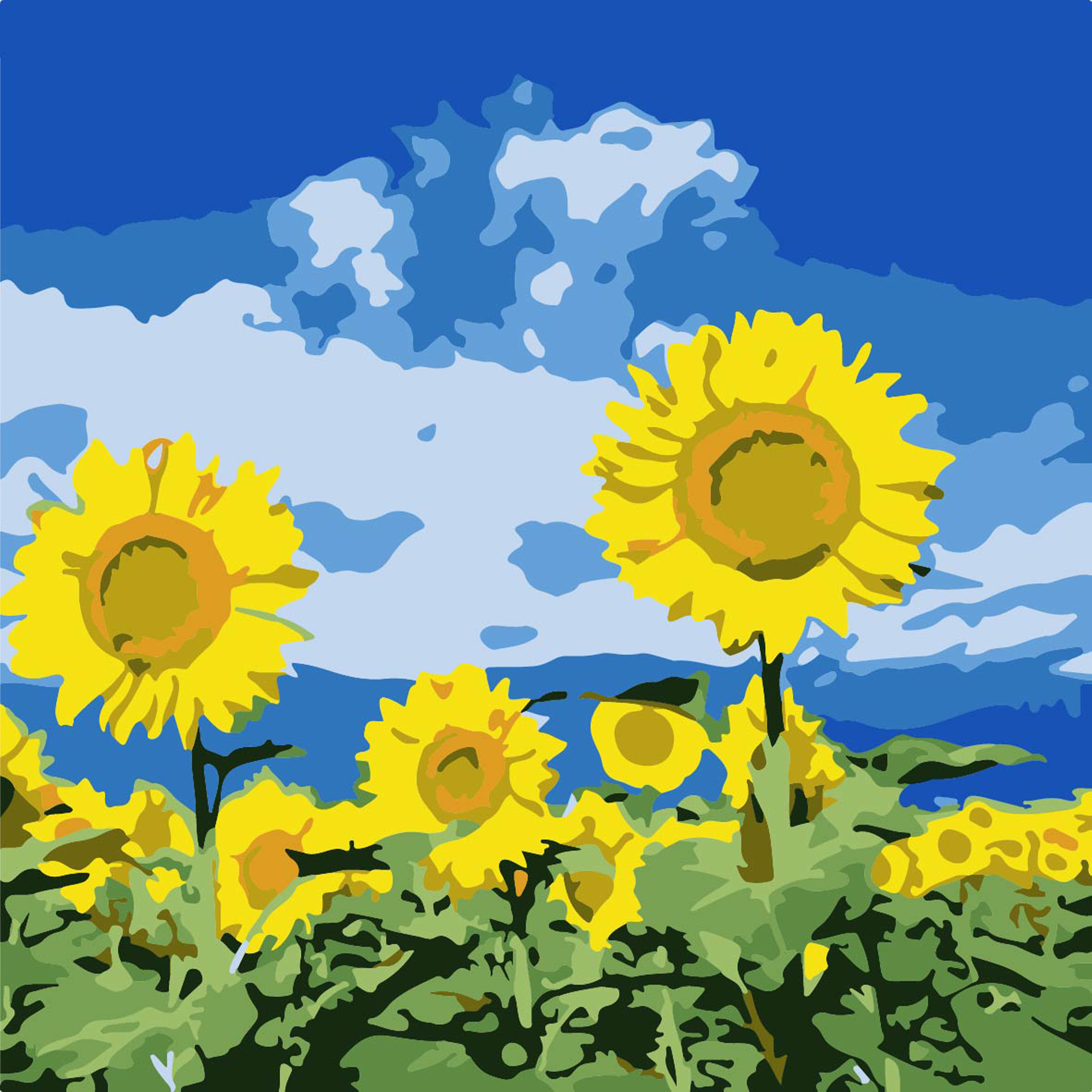 Подсолнухи под небом 