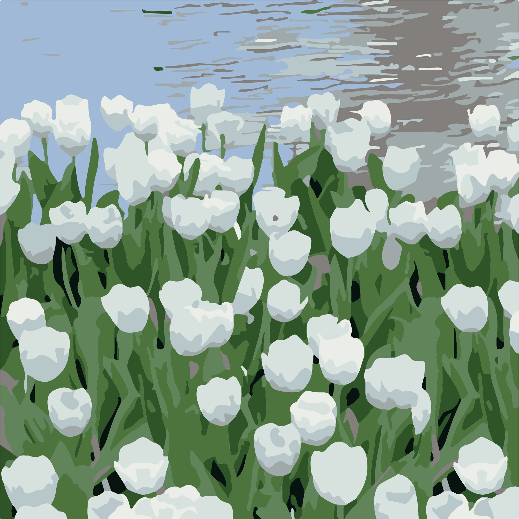 Тюльпаны у воды 