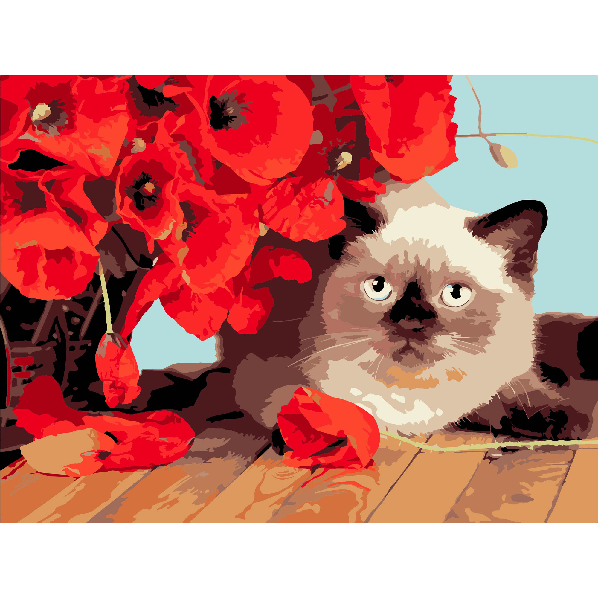 Kitten among poppies on a black background size 