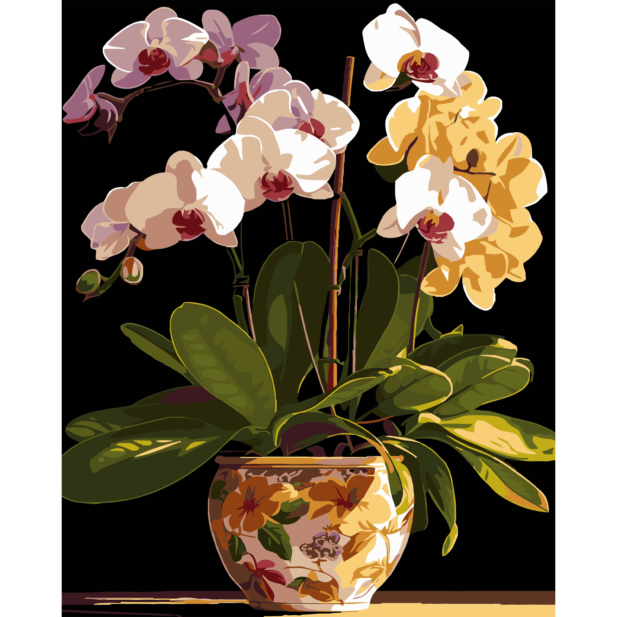 Вазон орхідей на чорному фоні 