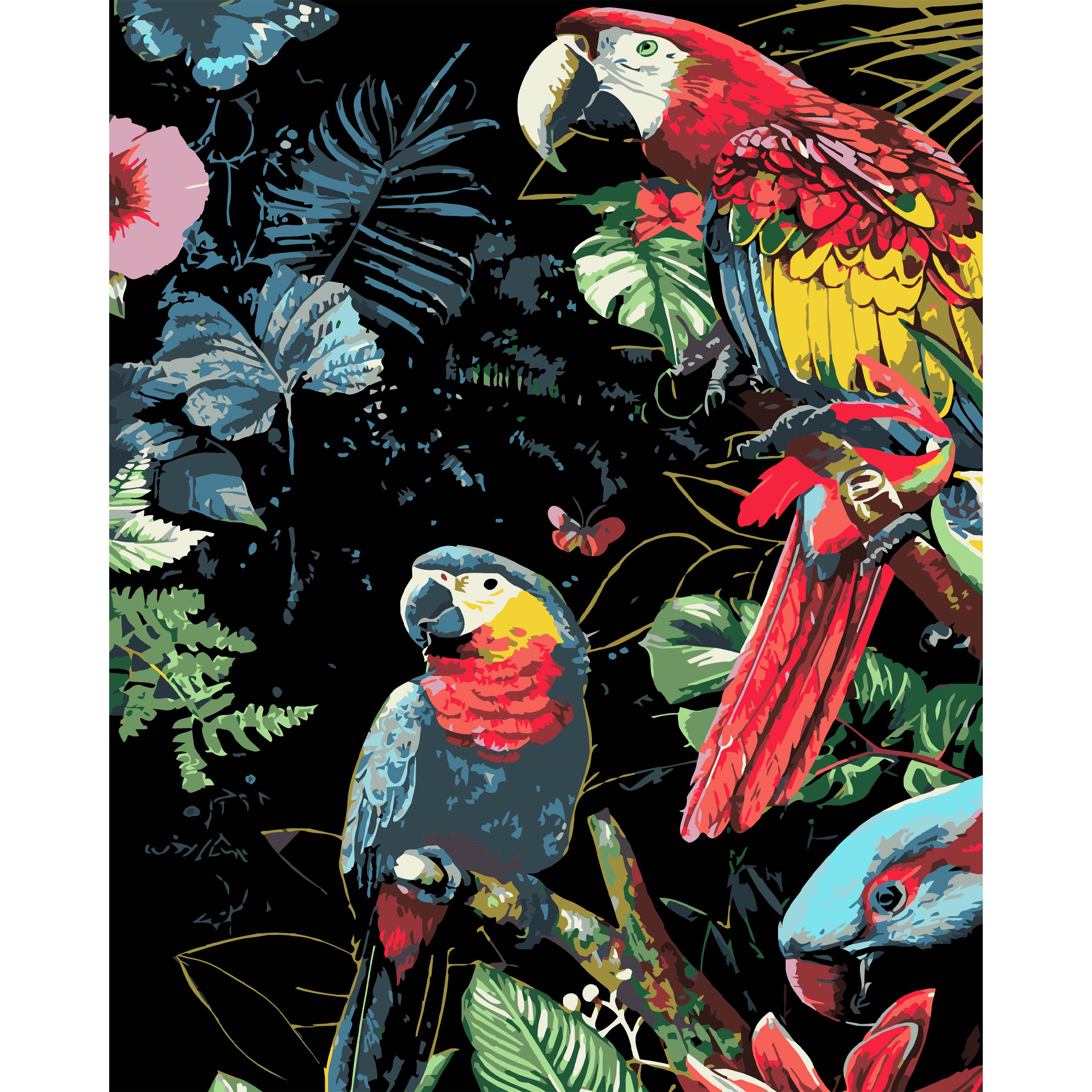 Яскраві папуги на чорному фоні 