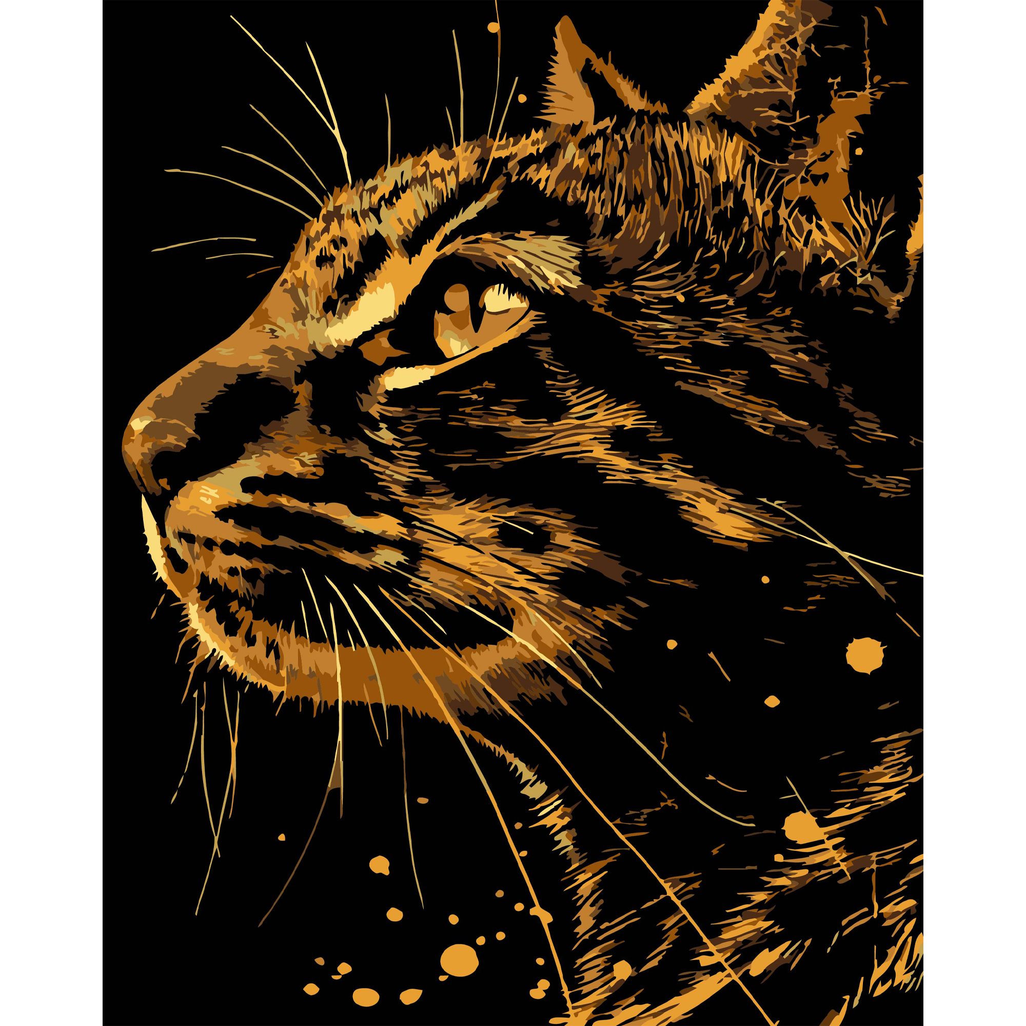 Бенгальский кот на черном фоне 