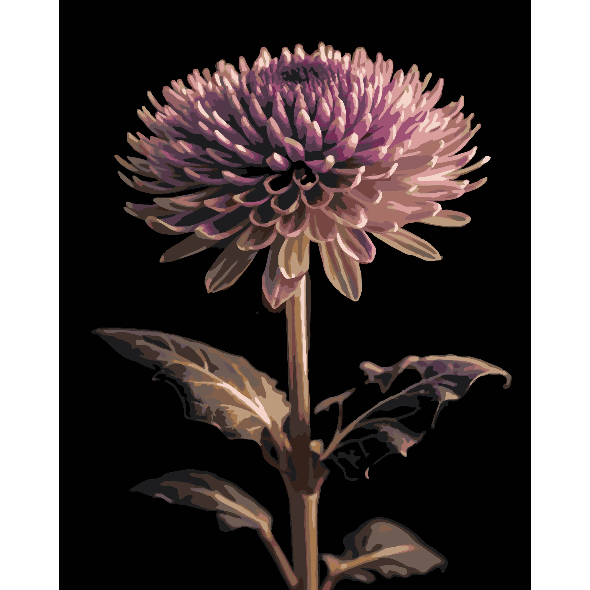 Джорджина на черном фоне 40Х50 (AH1291)