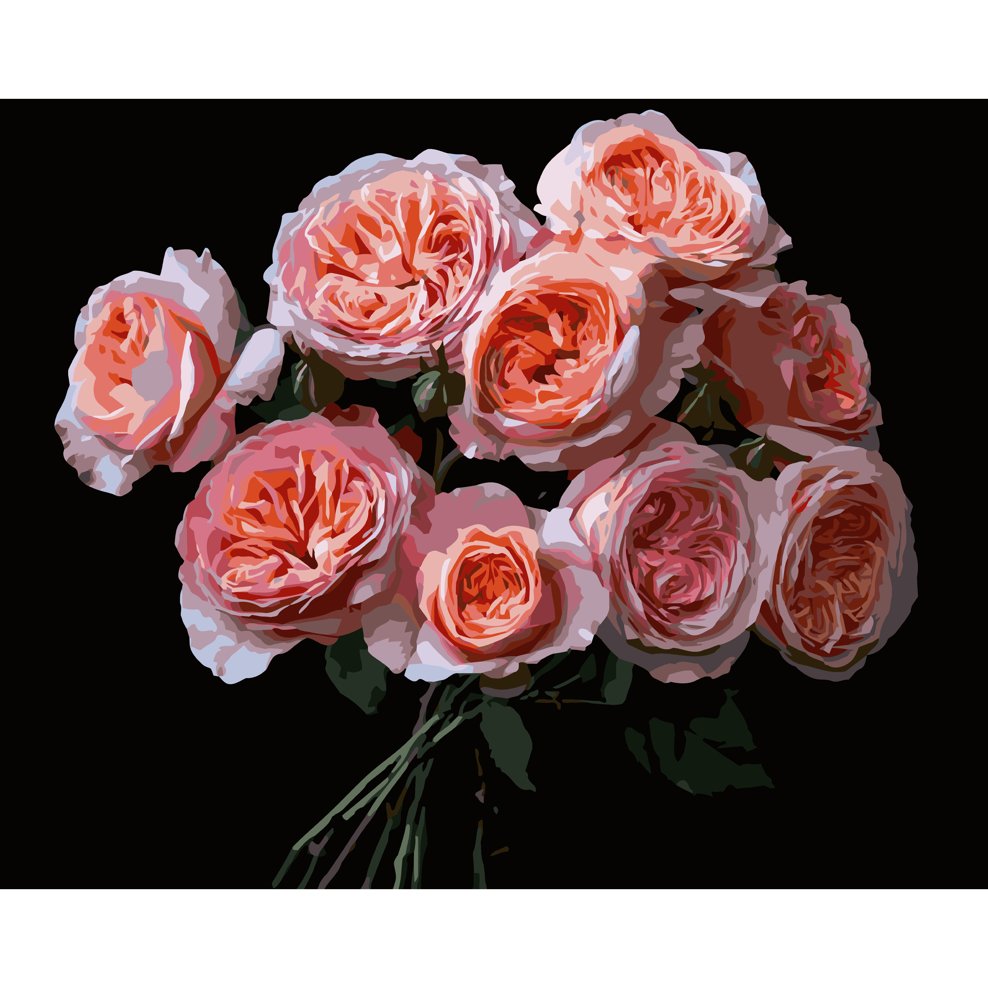 Pink flowers on a black background 40Х50 (AH1256)