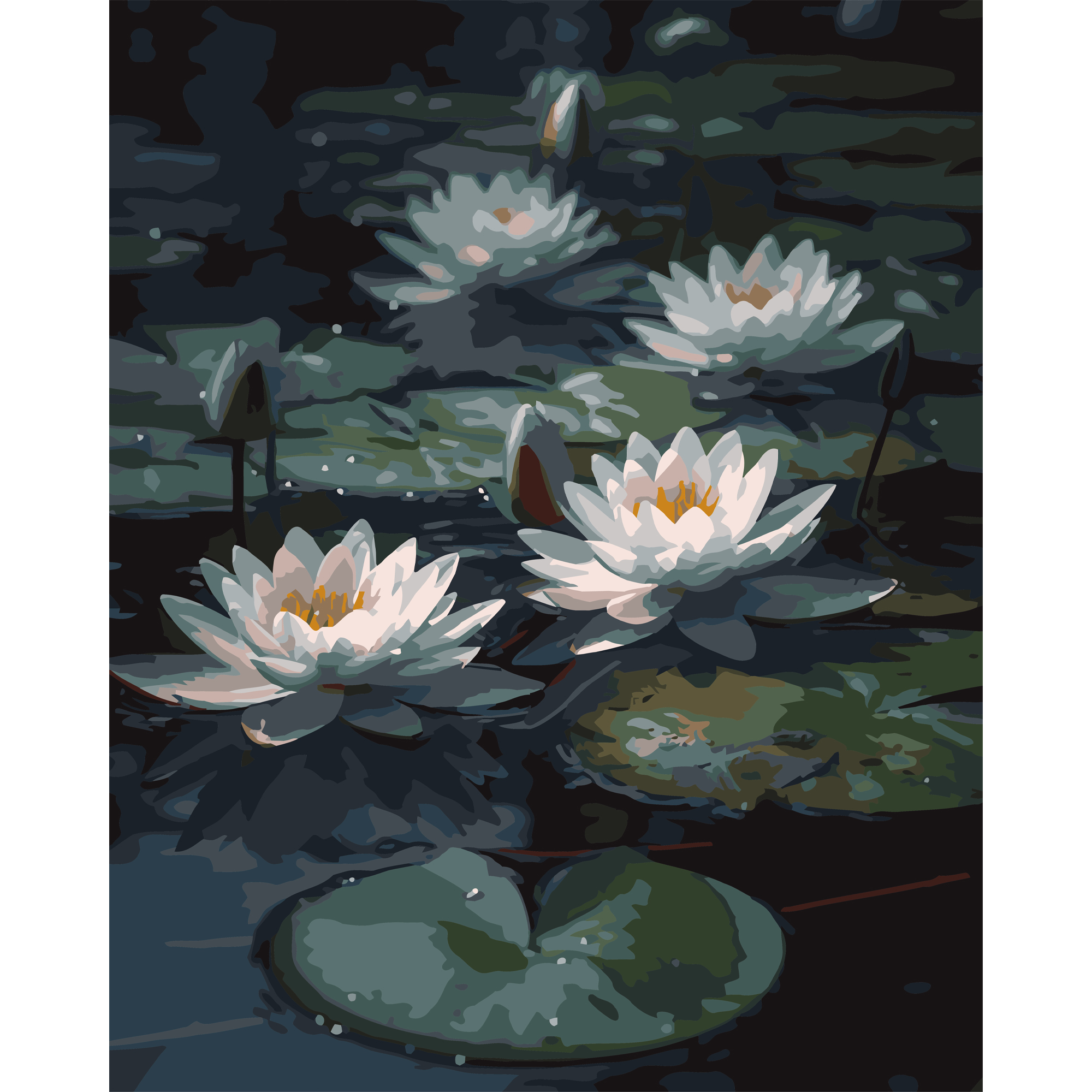 Water lilies on a black background 40Х50 (AH1263)