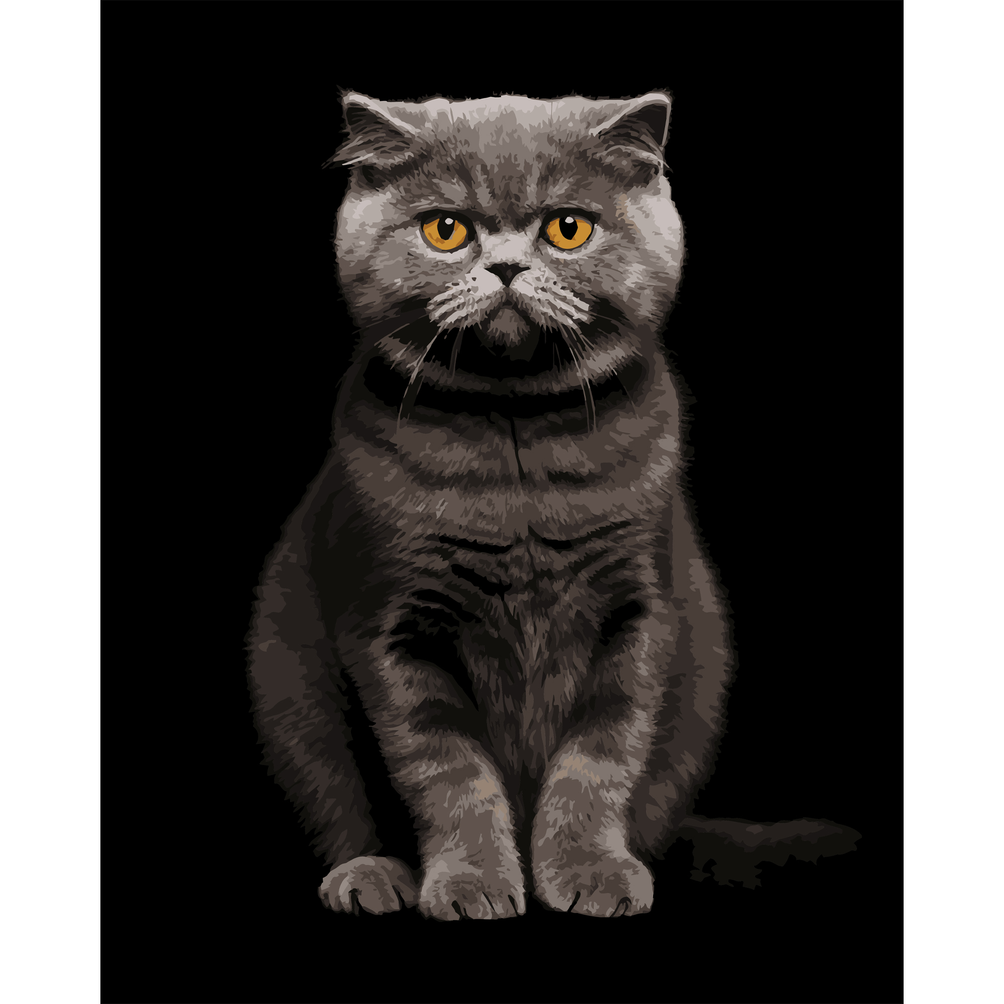 Malen nach Zahlen Strateg Grauer Aristokrat auf schwarzem Hintergrund 40Х50 (AH1272)