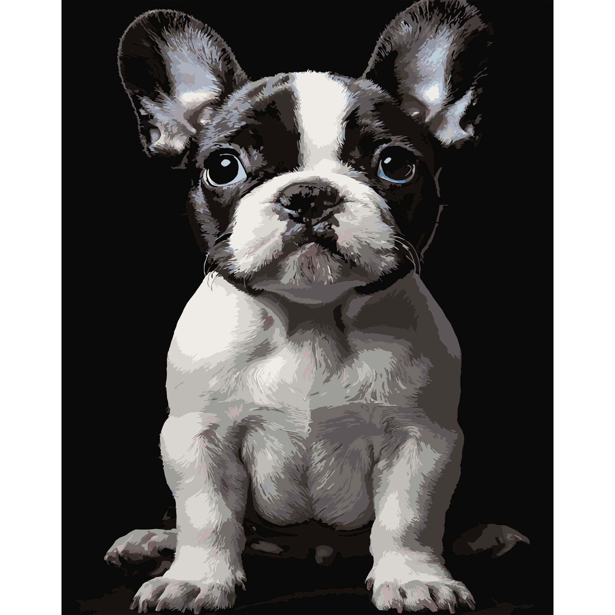 Маленькая собака на черном фоне 40Х50 (AH1277)