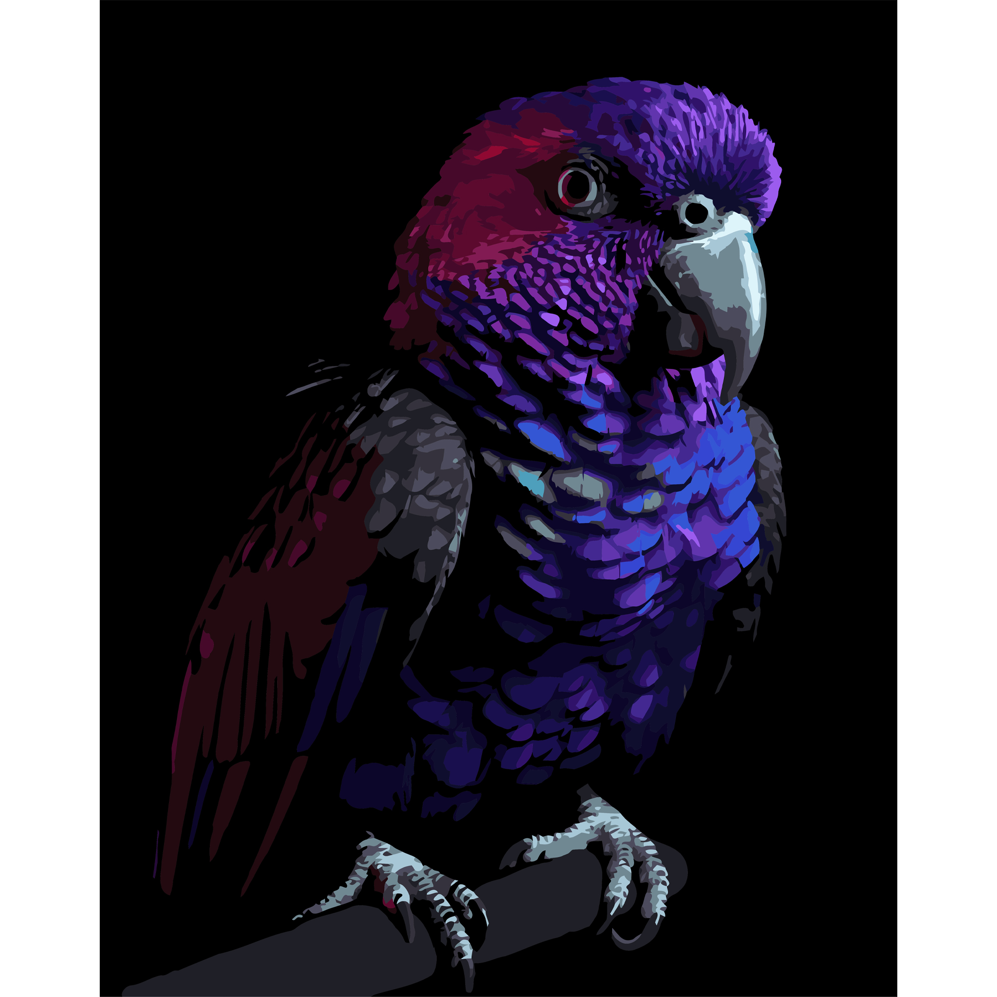 Bright parrot on a black background 40Х50 (AH1281)