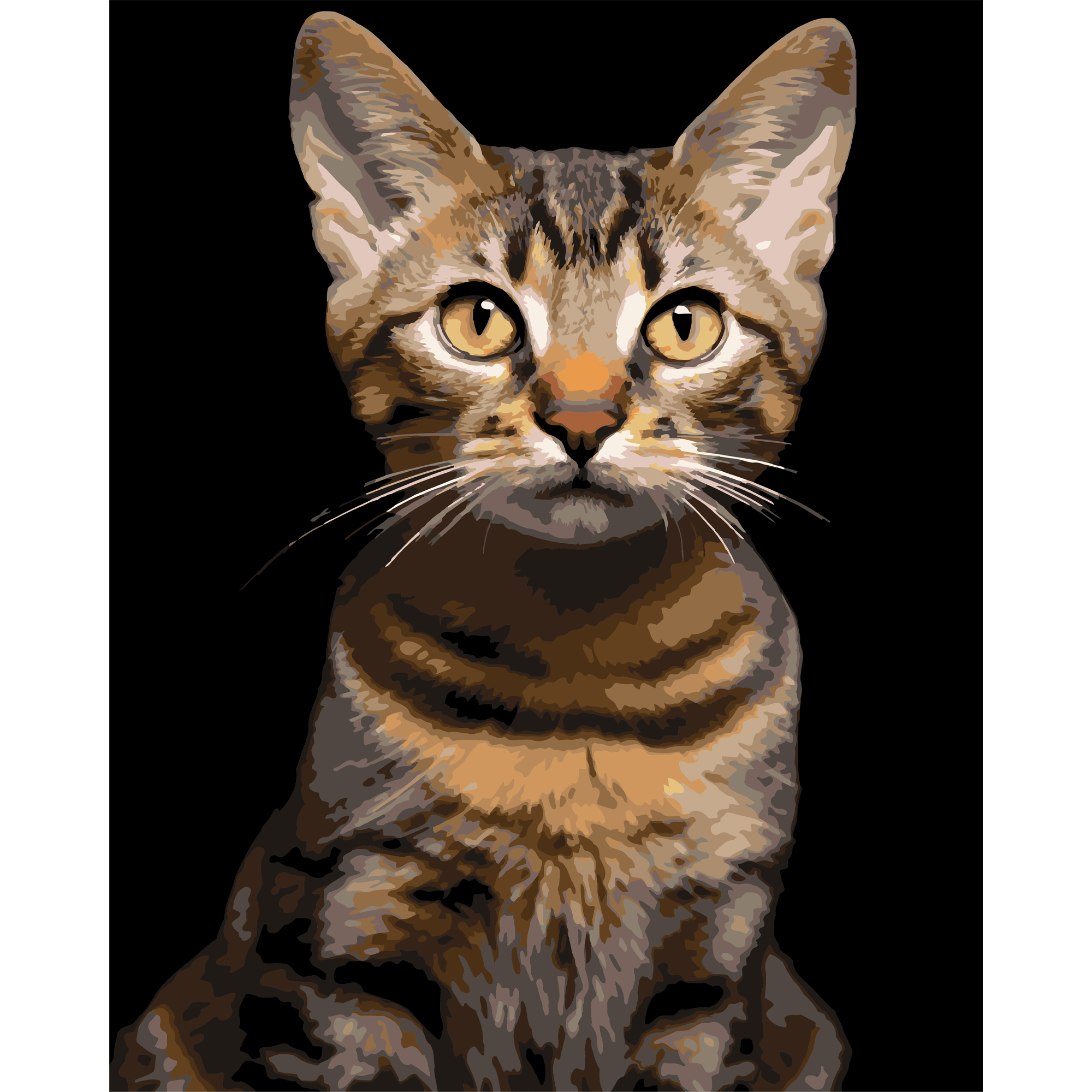 Striped cat on a black background 40Х50 (AH1284)