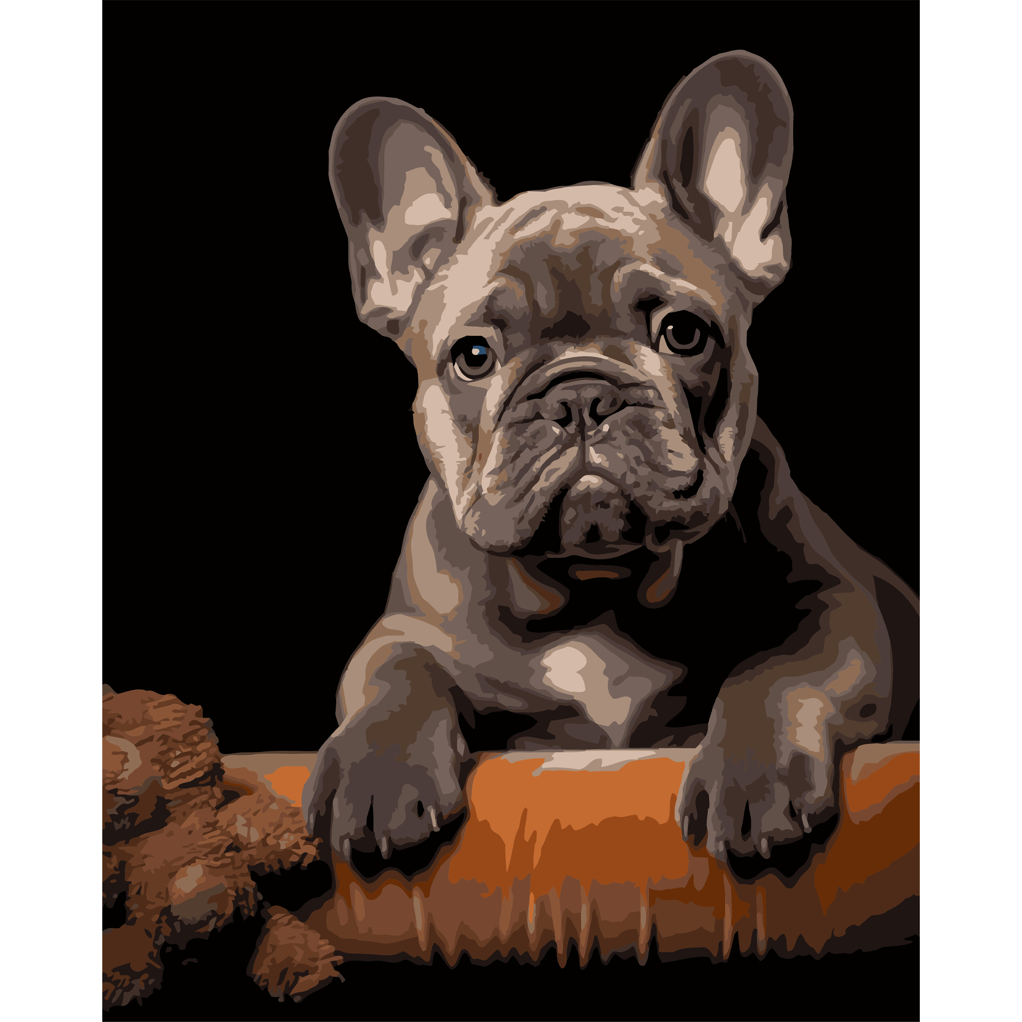 French Bulldog on a black background 40Х50 (AH1293)