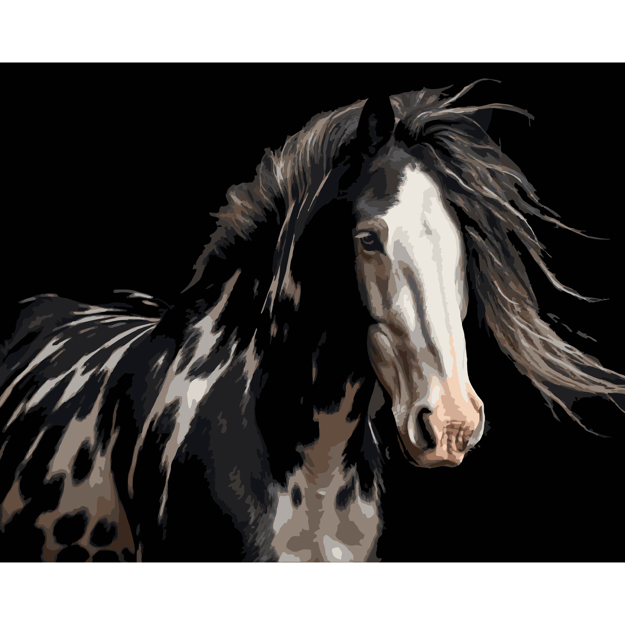Luxurious Horse on a black background 40Х50 (AH1296)