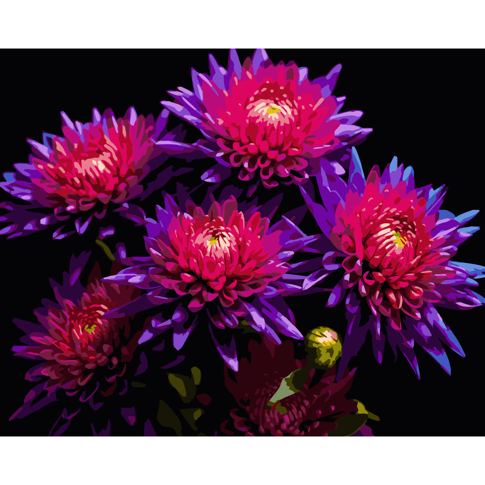 Malen nach Zahlen Strateg Astern auf schwarzem Hintergrund 40Х50 (AH1298)