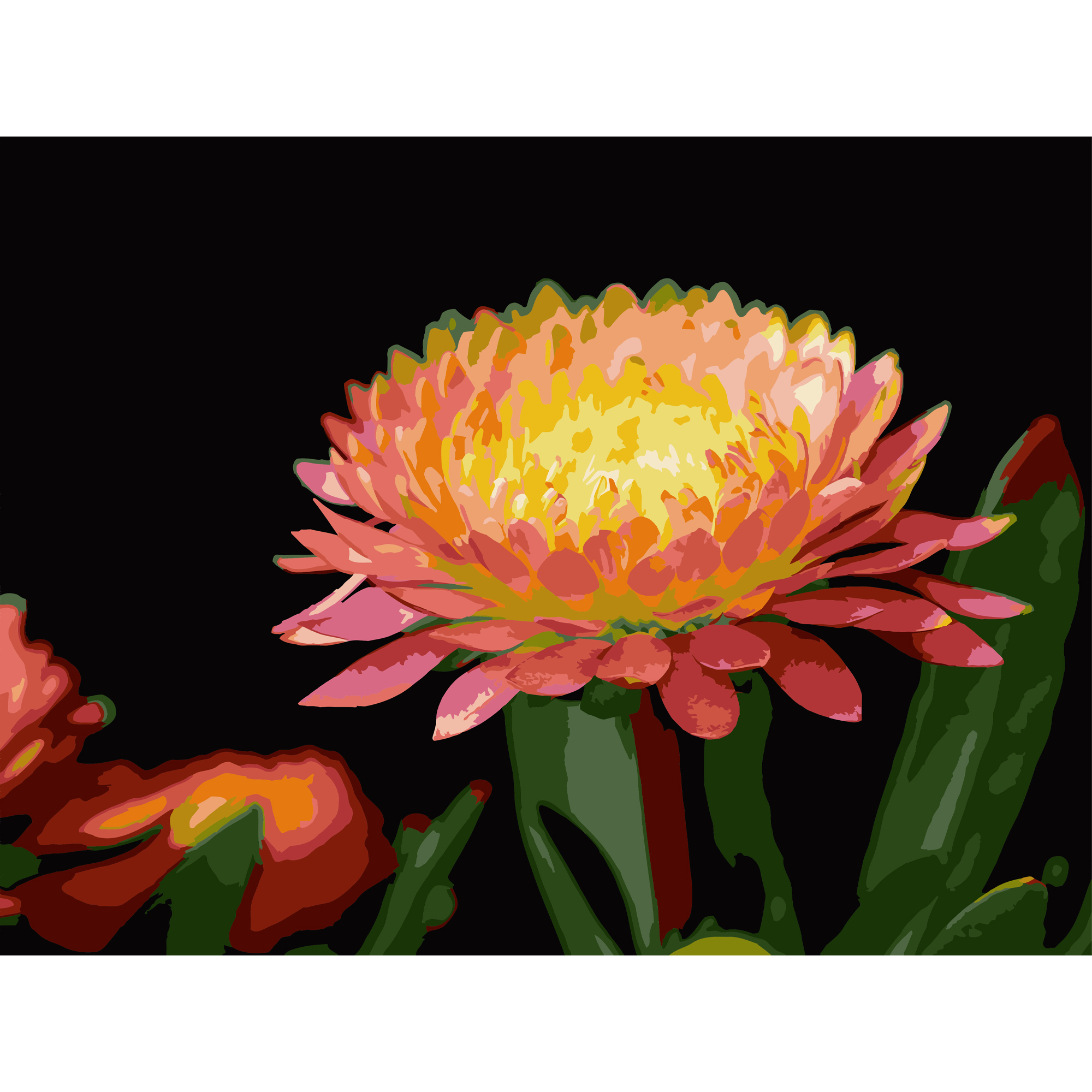 Цветок герберы на черном фоне 30Х40 (FH-28)