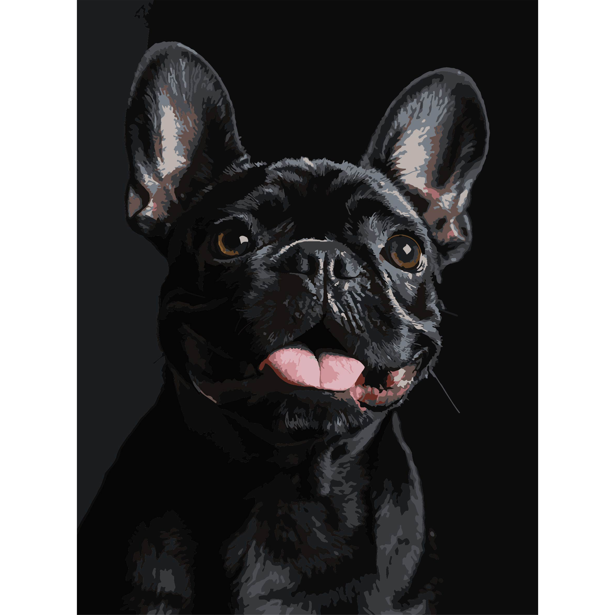 Французский черный бульдог на черном фоне 30Х40 (FH-32)