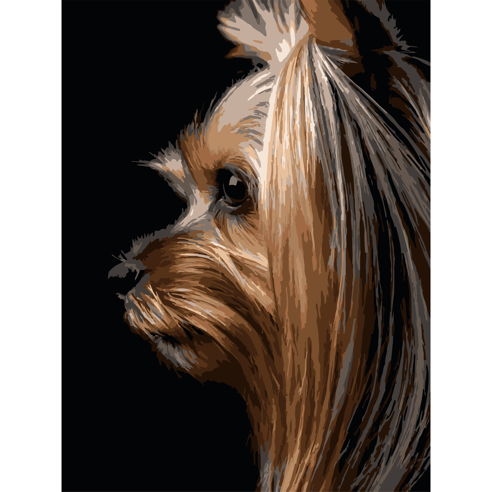Yorkshire terrier on a black background 30Х40 (FH-33)