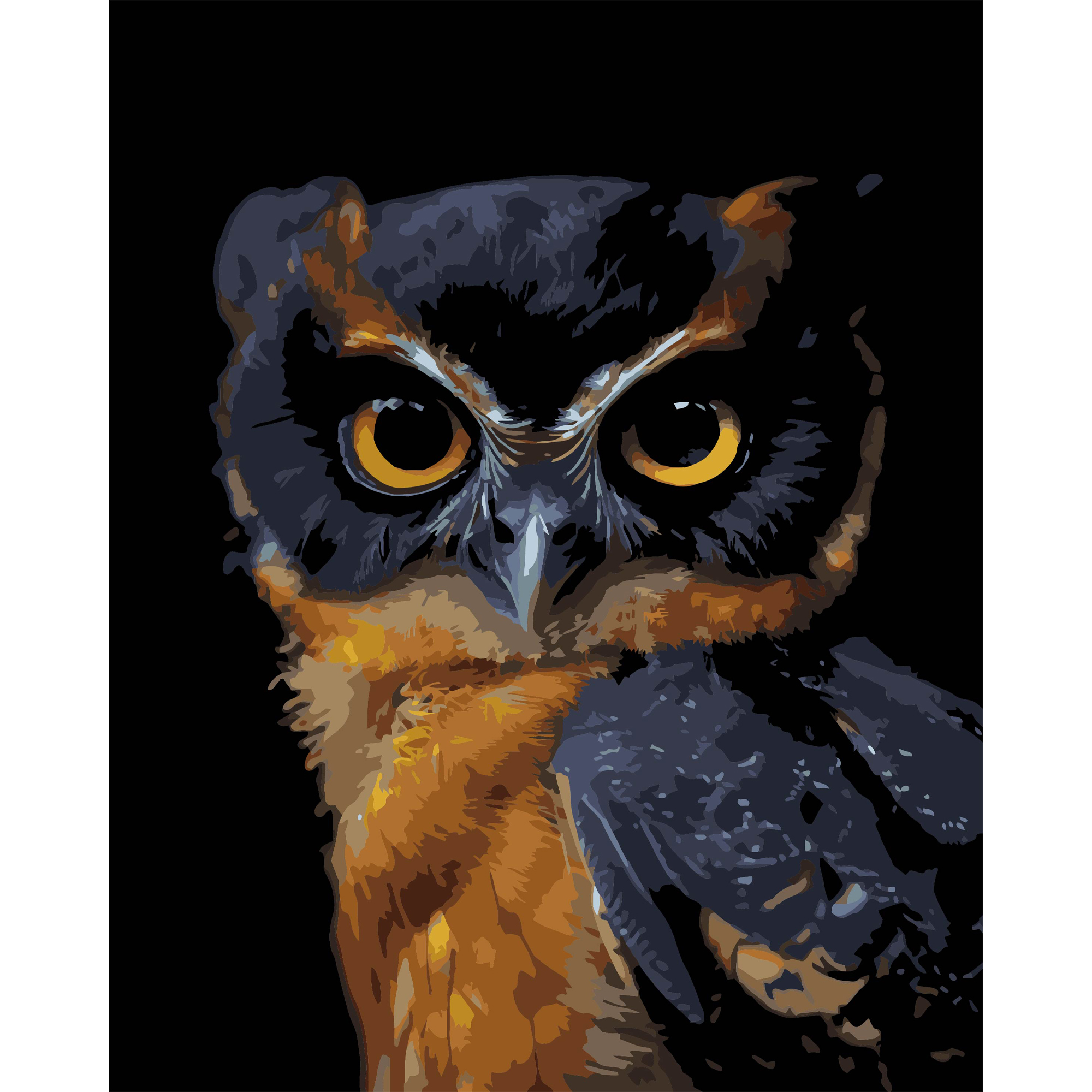 Погляд ночі на чорному фоні 40Х50 (AH1269)