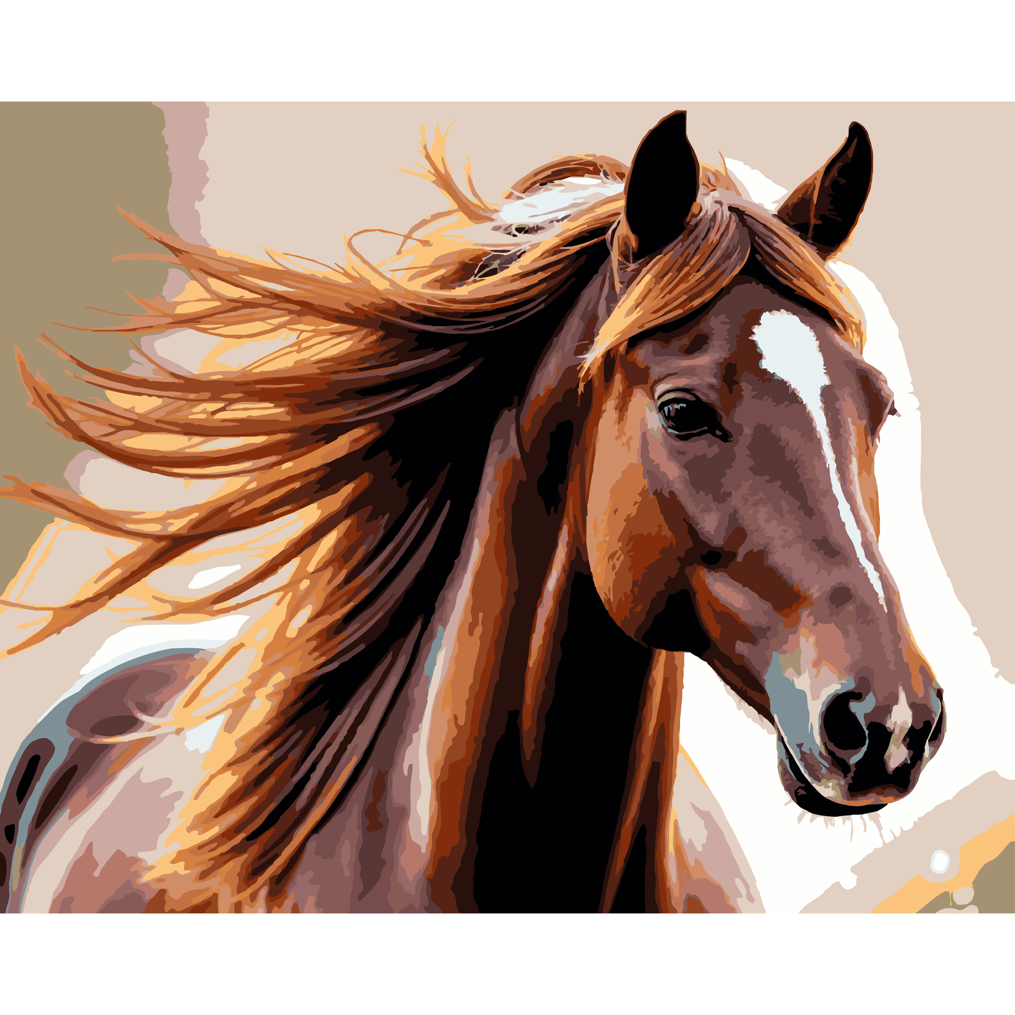 Horse in the wind 40X50 (VG040)
