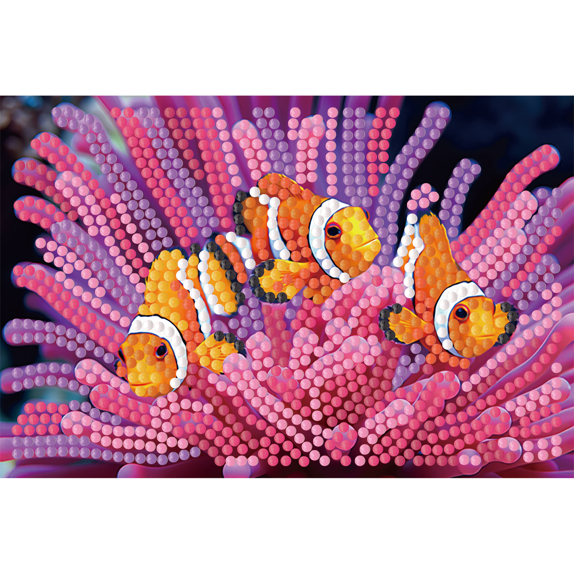 Diamond Painting Strateg Clownfisch 