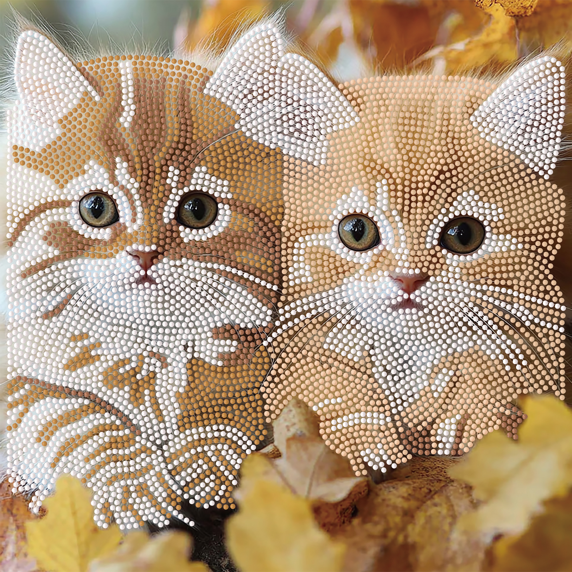 Diamond Painting Strateg Rote Kätzchen 