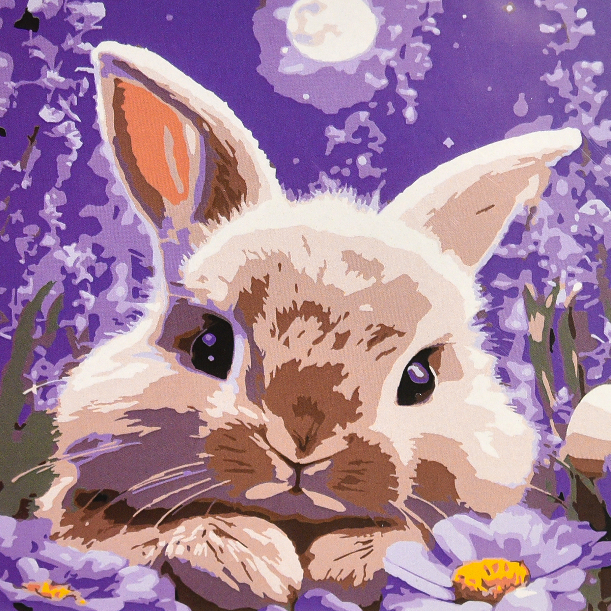 Кролик у місячному сяйві (ES-0916)