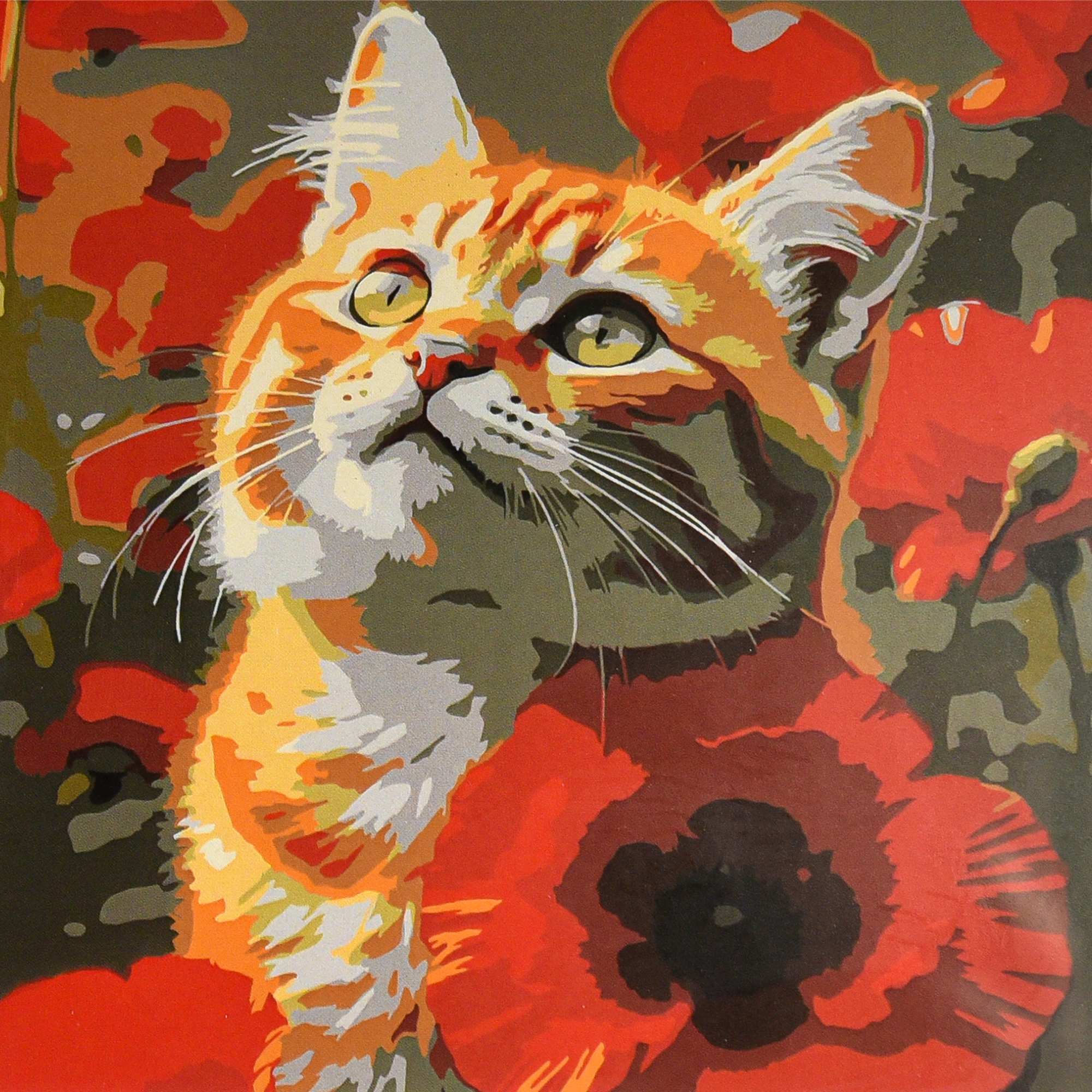 Кіт серед маків (ES-0917)