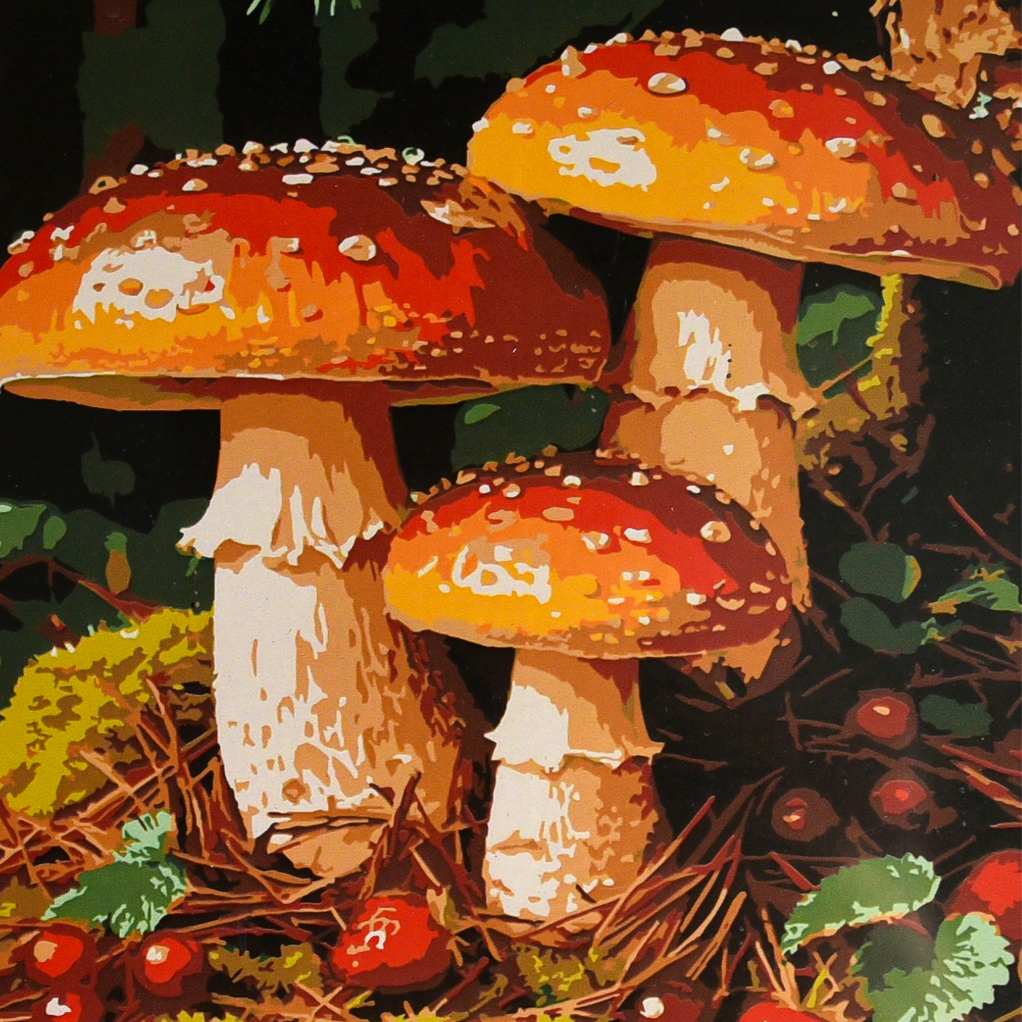 Грибна галявина (ES-0931)