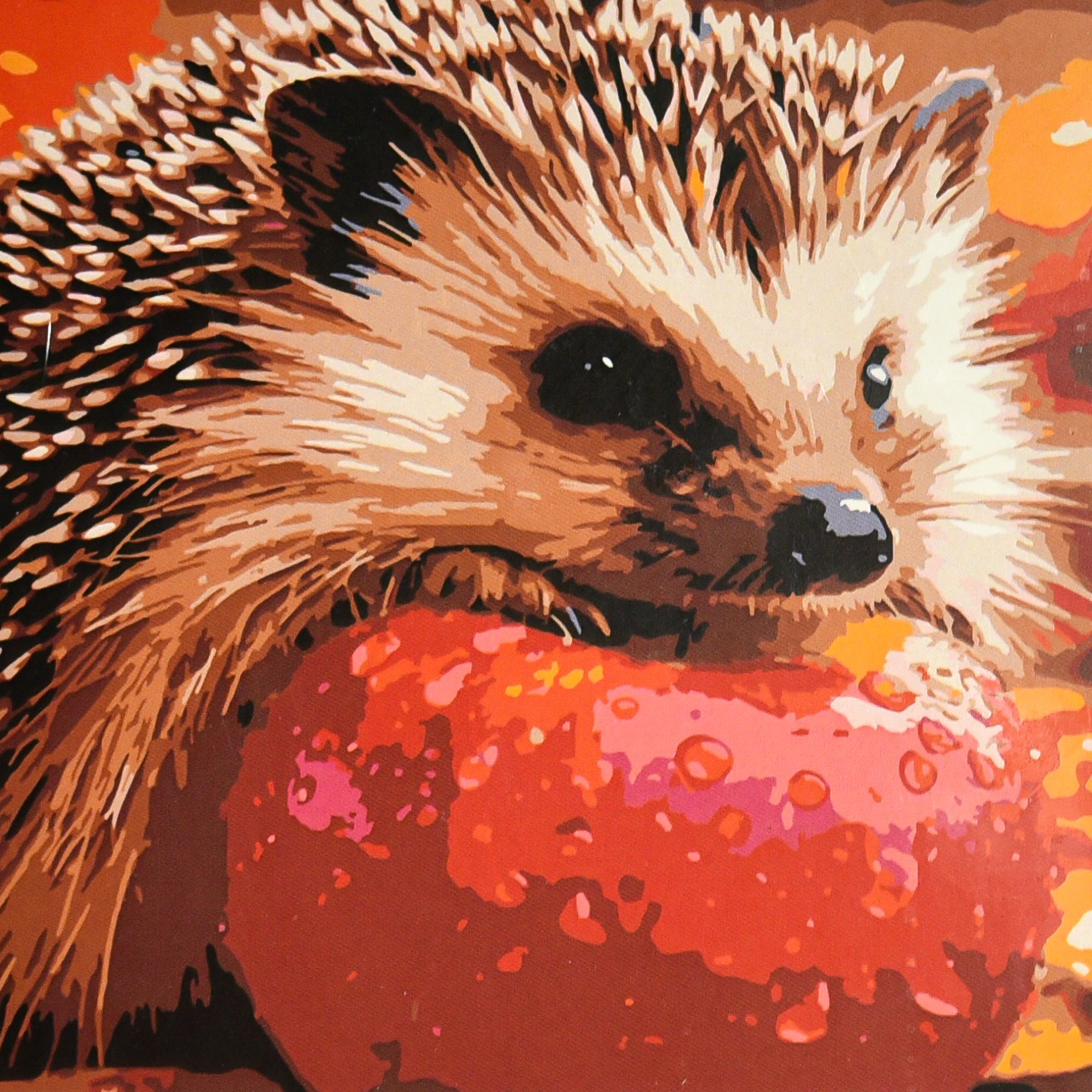 Їжачок з яблуком (ES-0932)