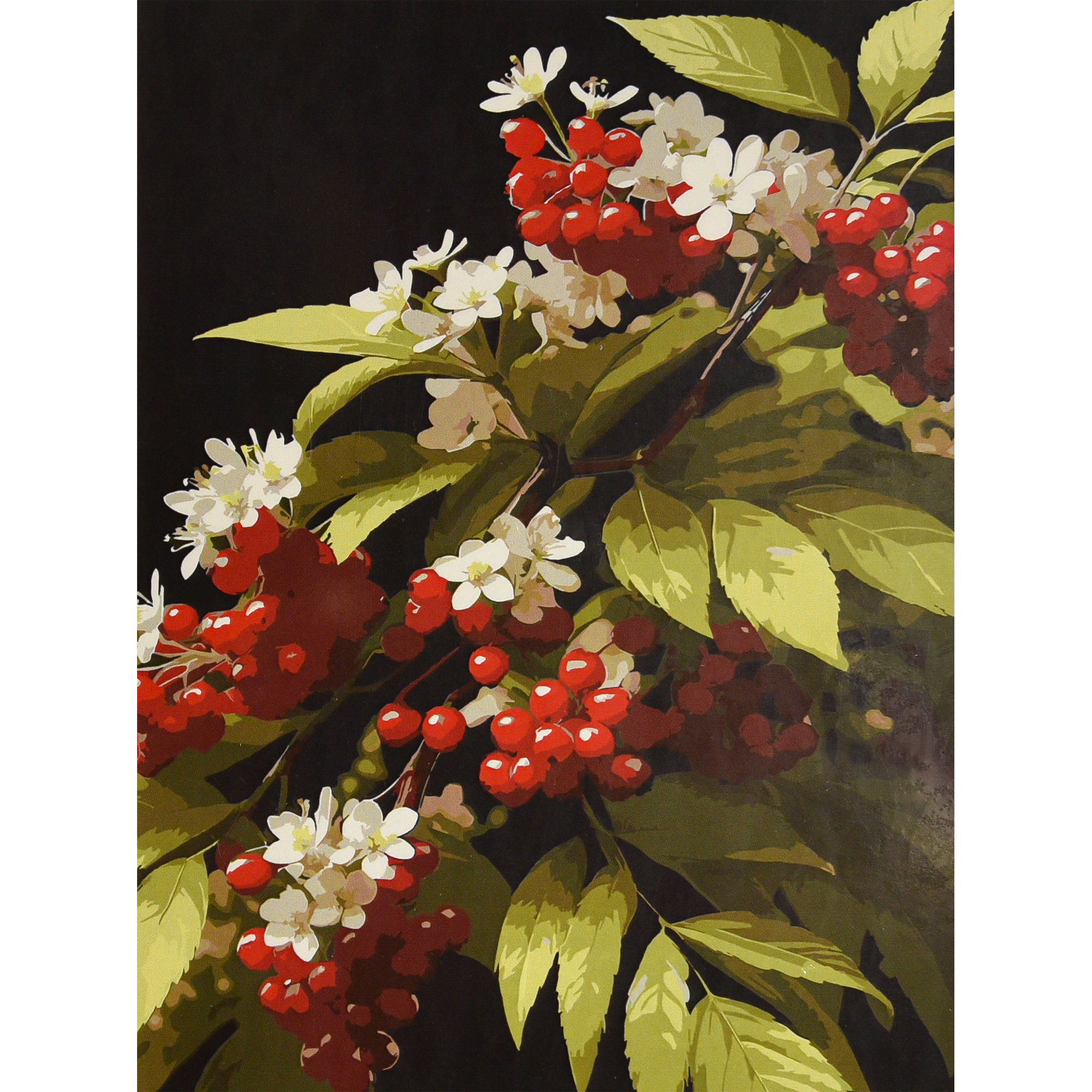 Калинова гілка (SS-1325)