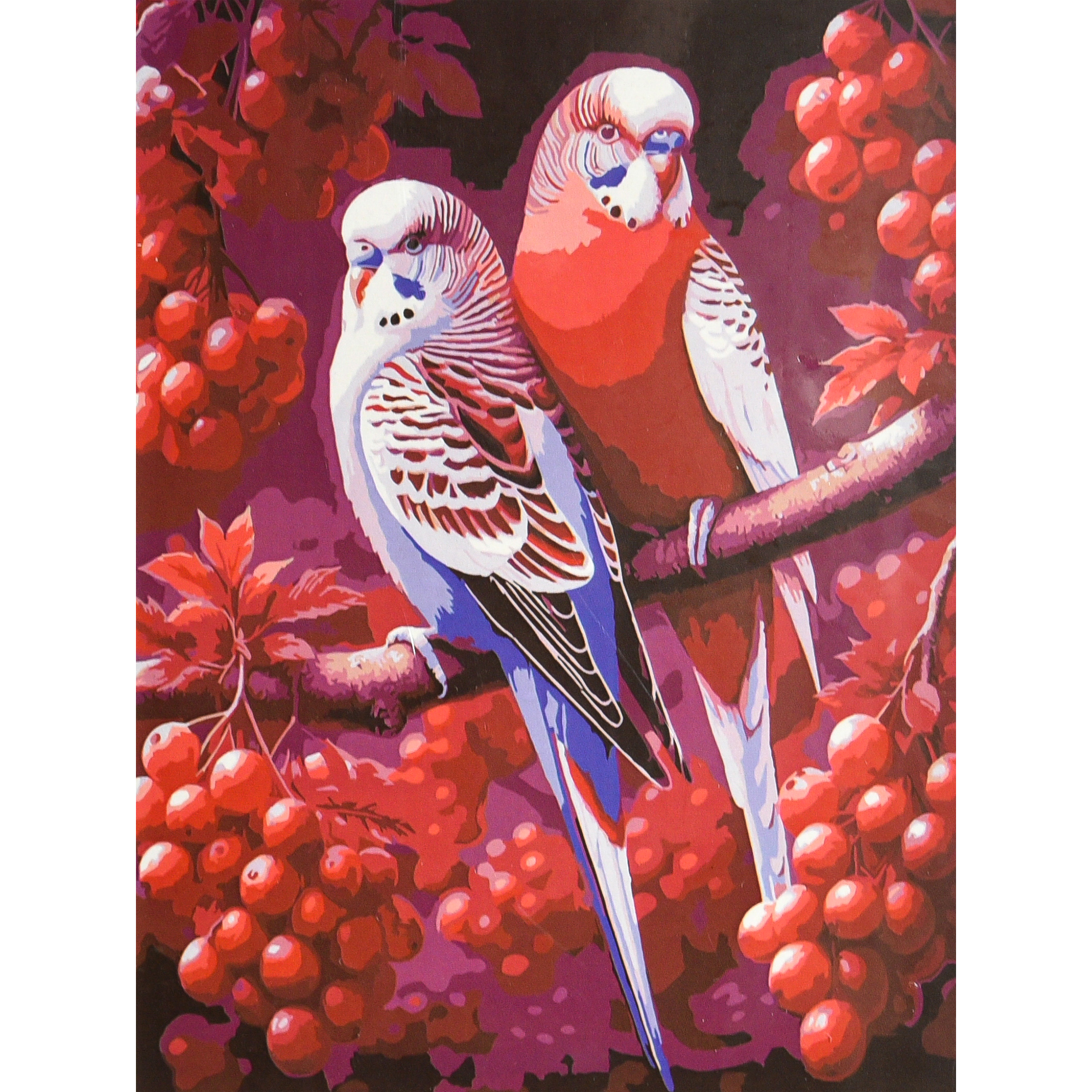 Дует у ягідному саду (SS-1352)