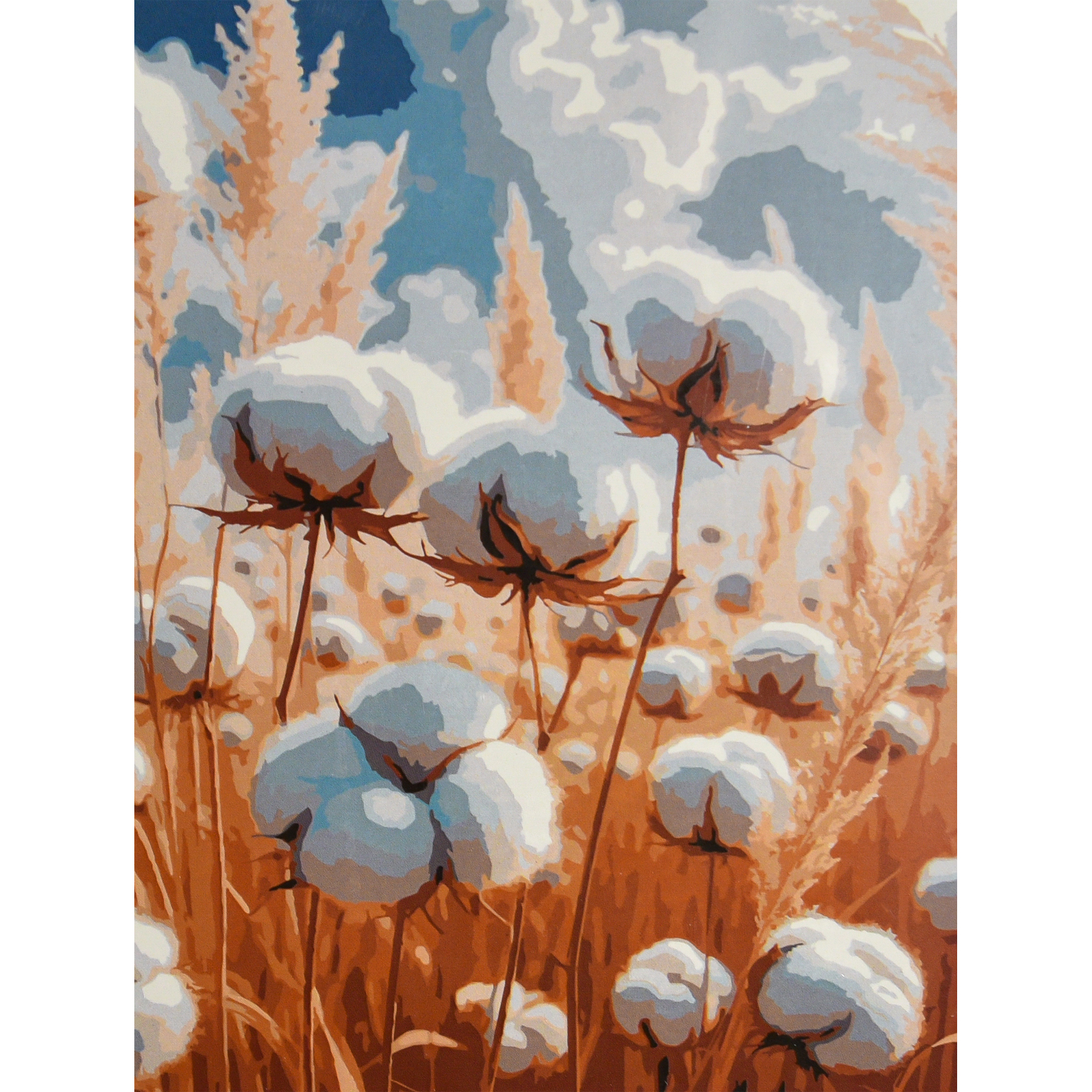 Бавовняне поле (SS-1366)