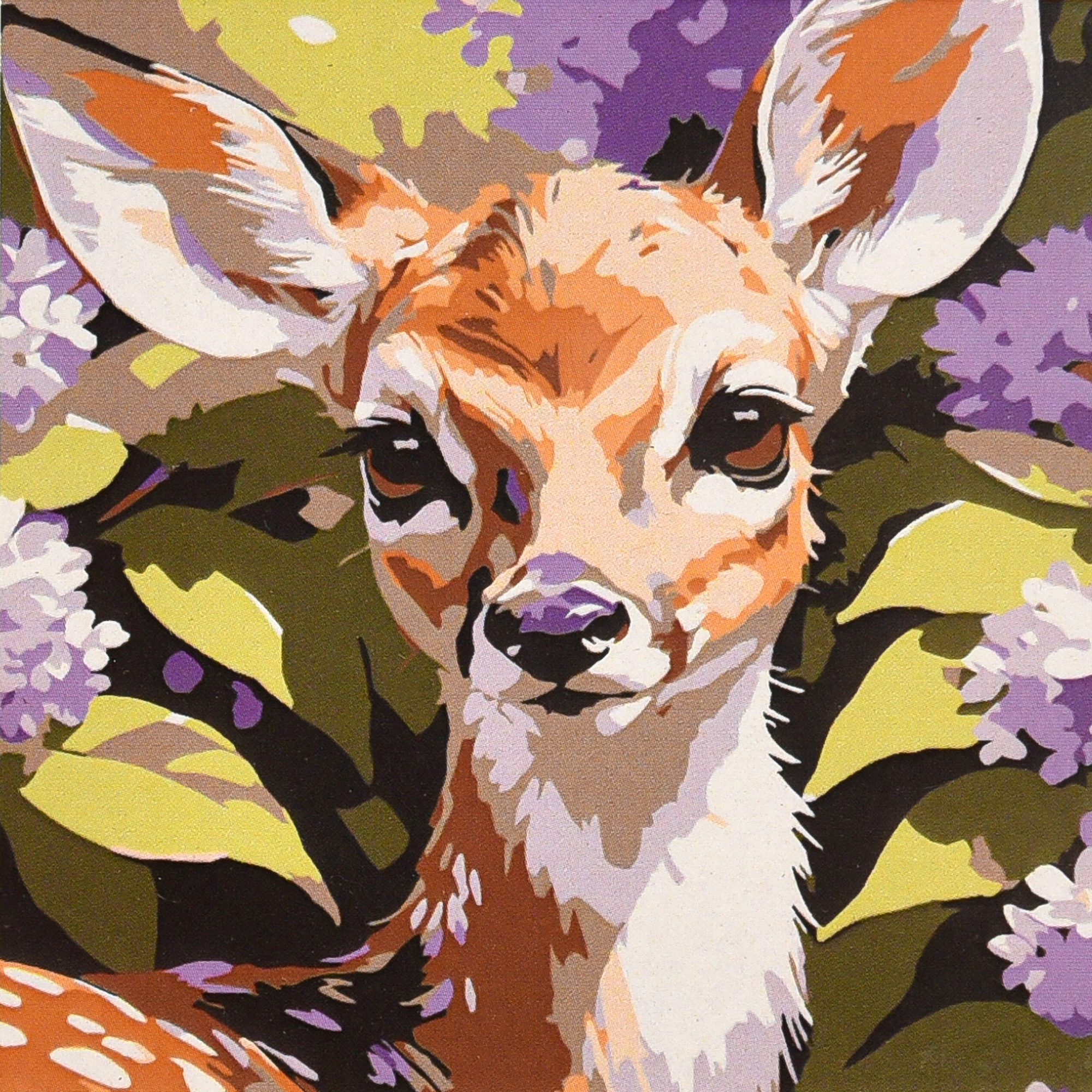 Ніжний погляд (HH8050)