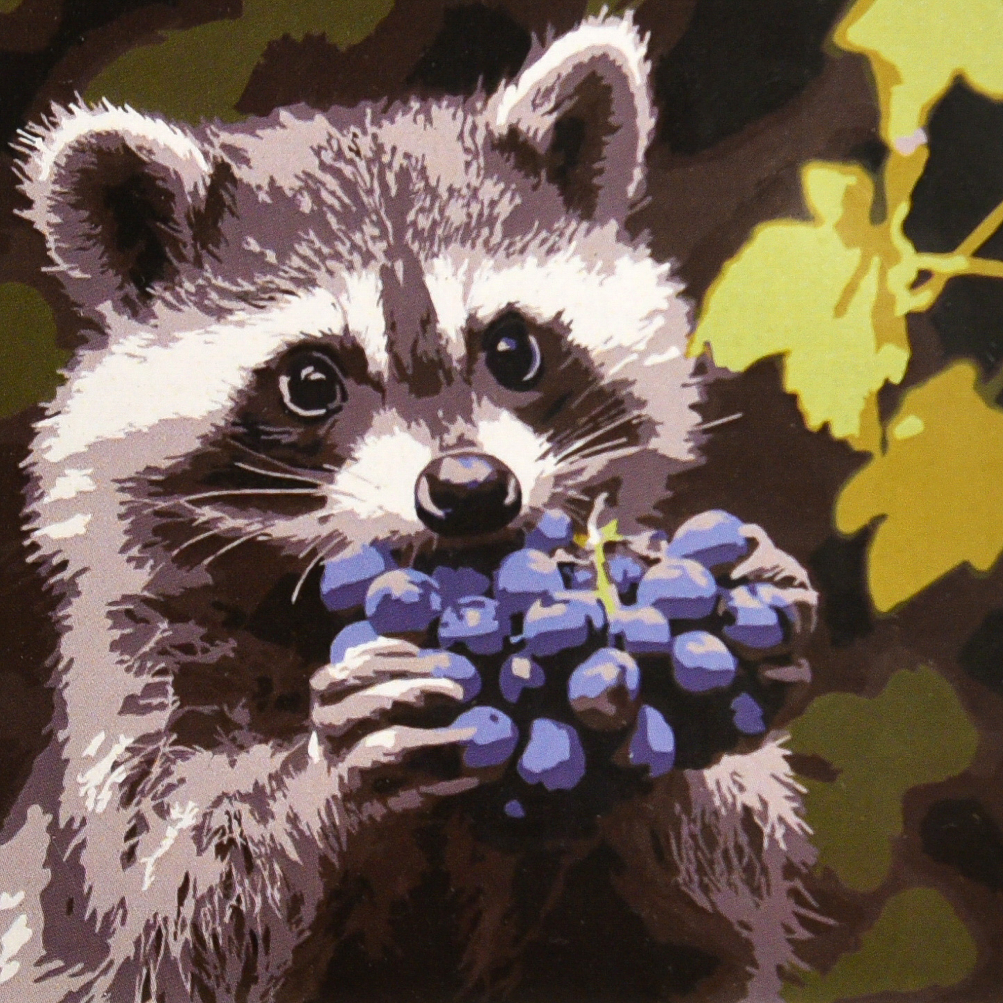 Маленький ласун (HH8060)