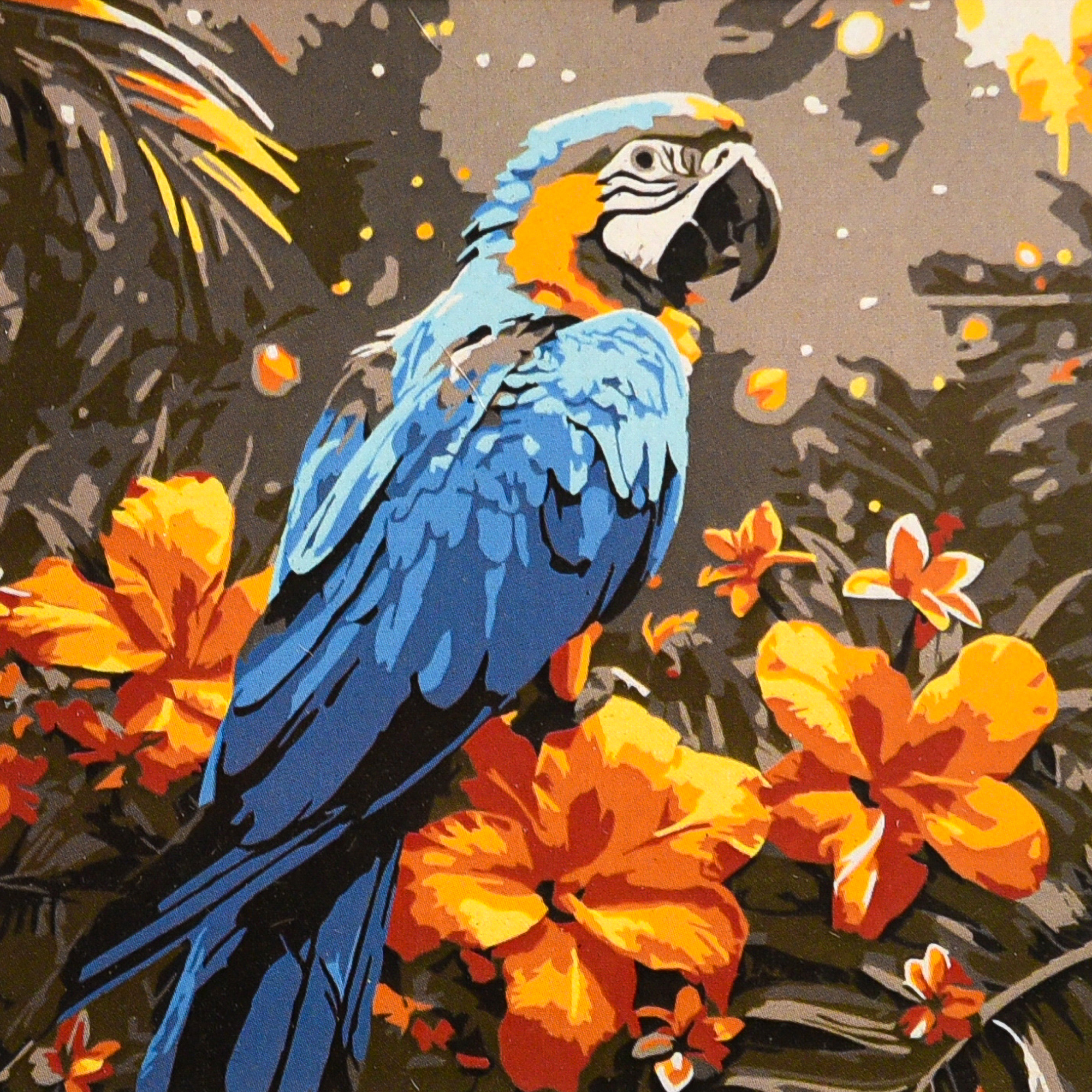 Яскравий папуга (HH8063)