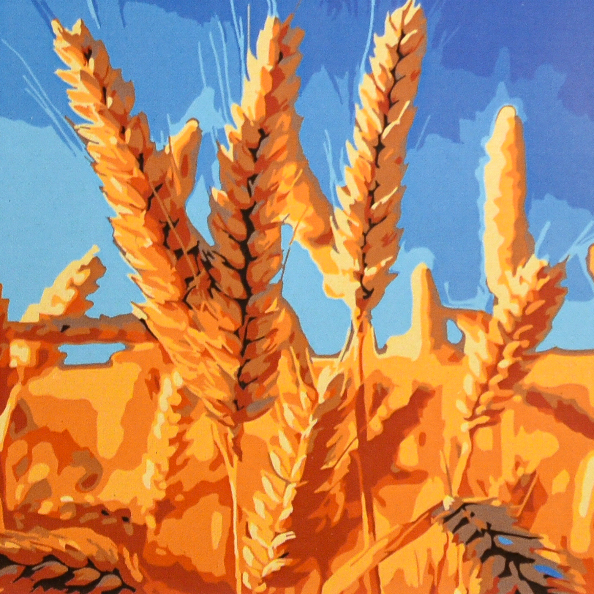 Золоте колосся (HH8066)