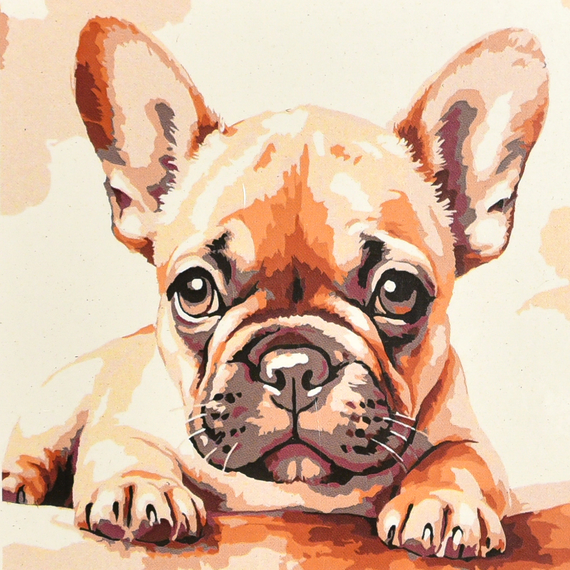 Бульдог-малюк (HH8070)