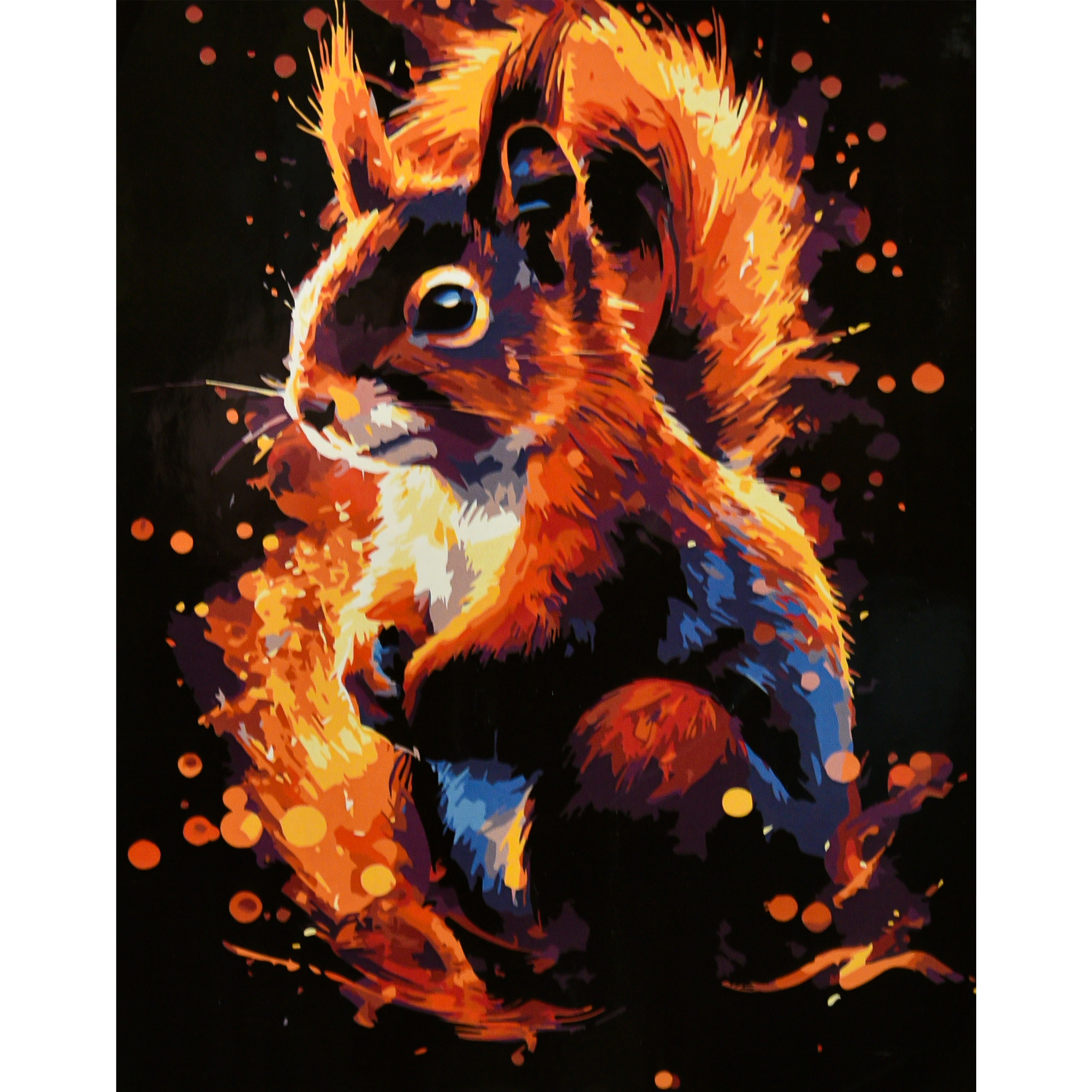 Bright squirrel on a black background 