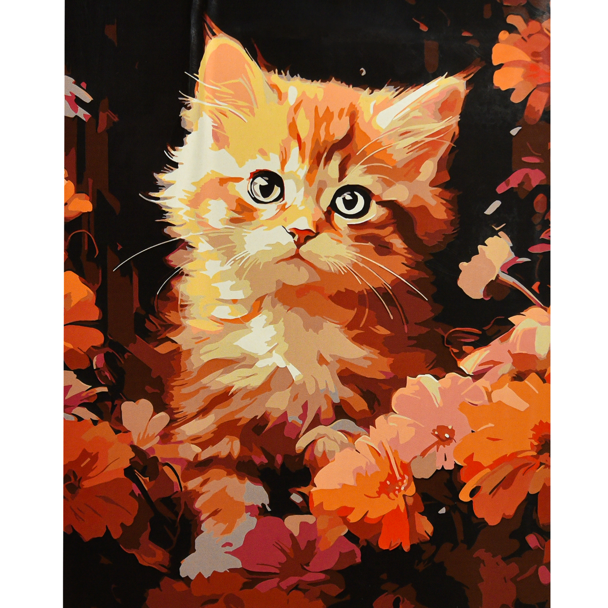 Malen nach Zahlen Strategie Rotes Kätzchen im Blumenmeer auf schwarzem Hintergrund 