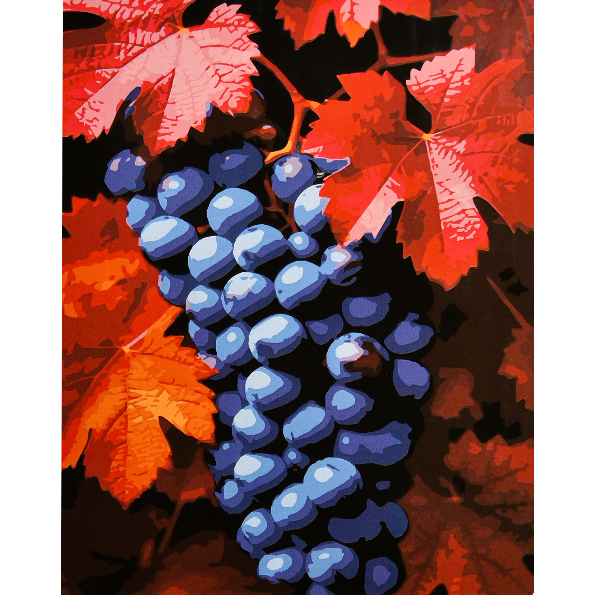 Malen nach Zahlen Strategie Saftige Trauben auf schwarzem Hintergrund 