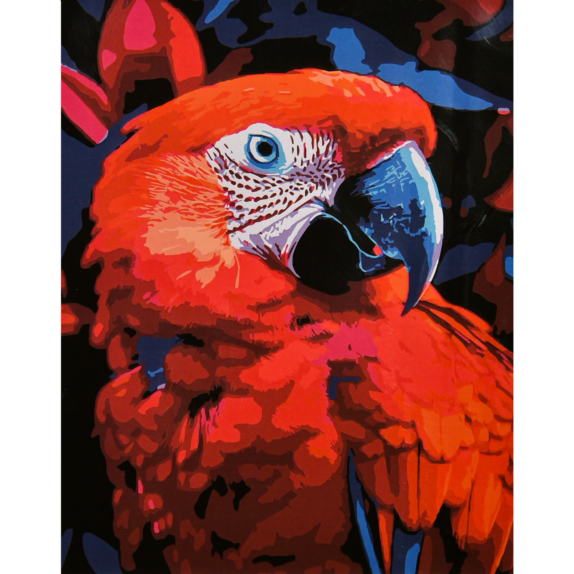 Яркая ара на черном фоне 