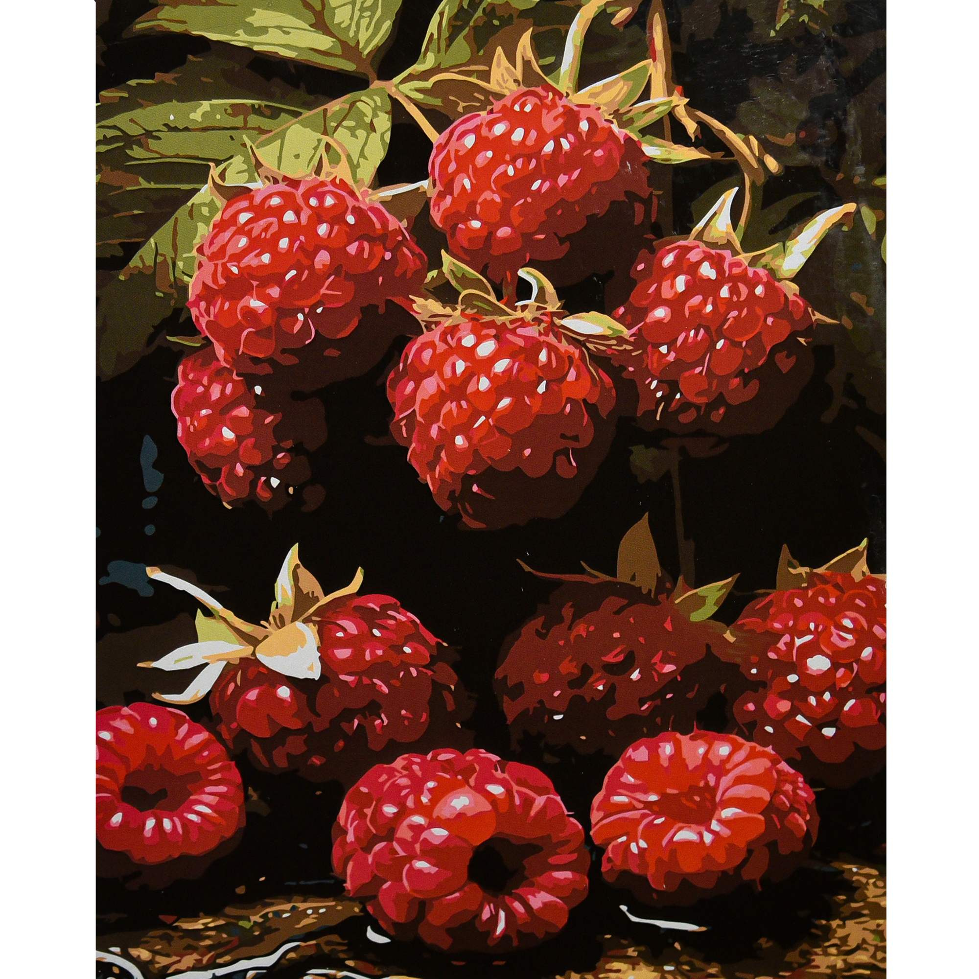 Juicy raspberries on a black background 