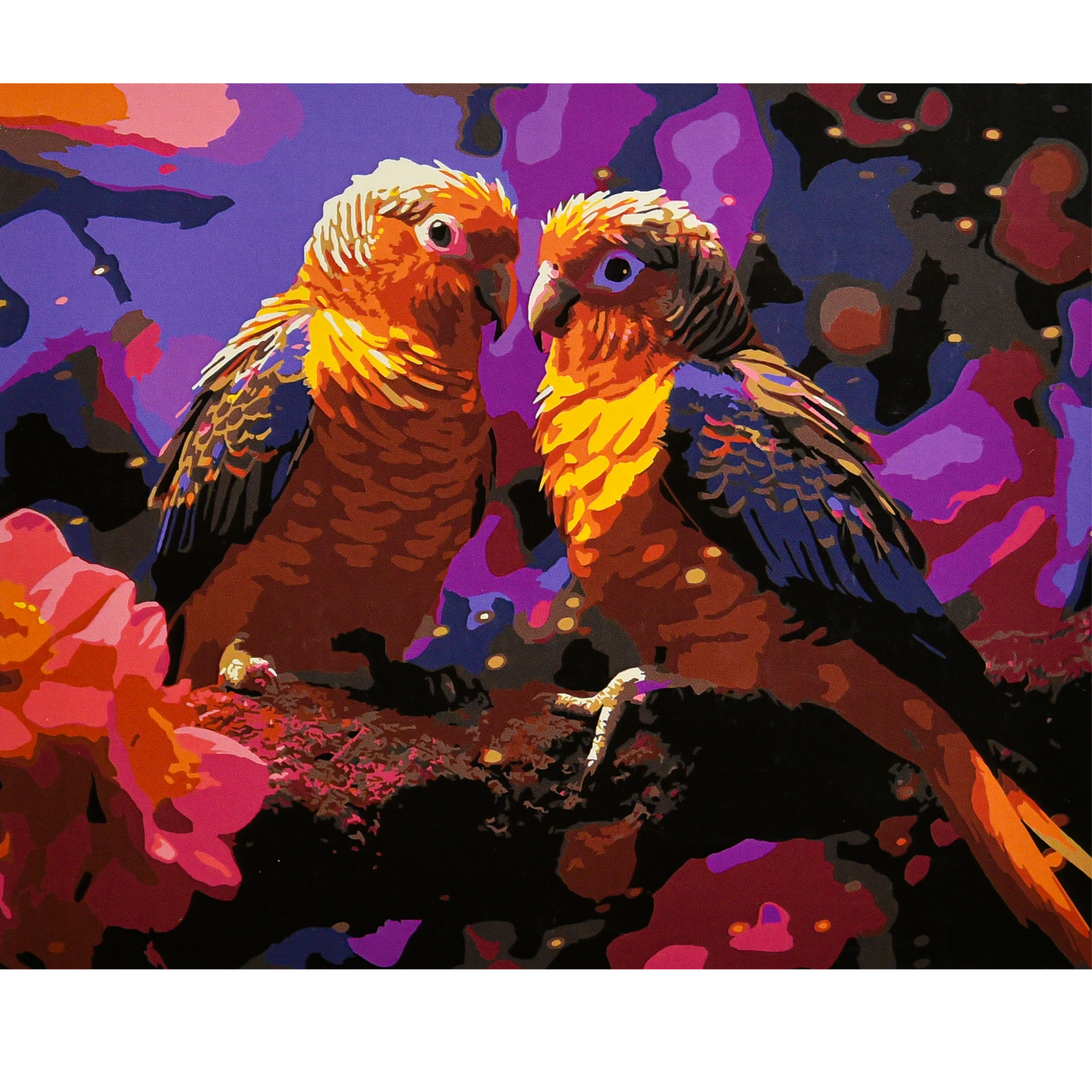 Malen nach Zahlen Strategie Strahlendes Paar auf schwarzem Hintergrund 